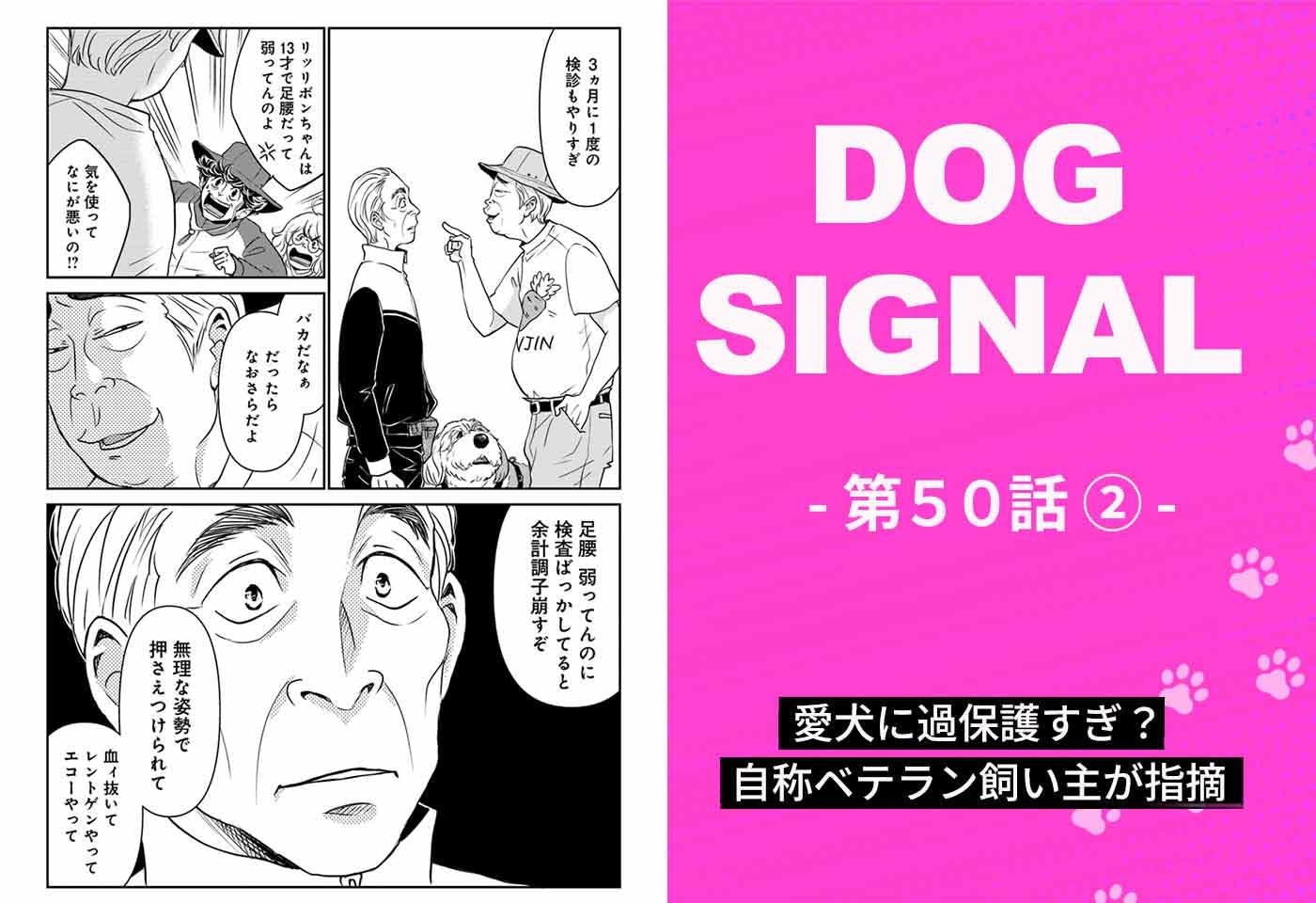 漫画『DOG SIGNAL(ドッグシグナル)』50話目2/4 愛犬に過保護すぎ? 自称ベテラン飼い主が指摘