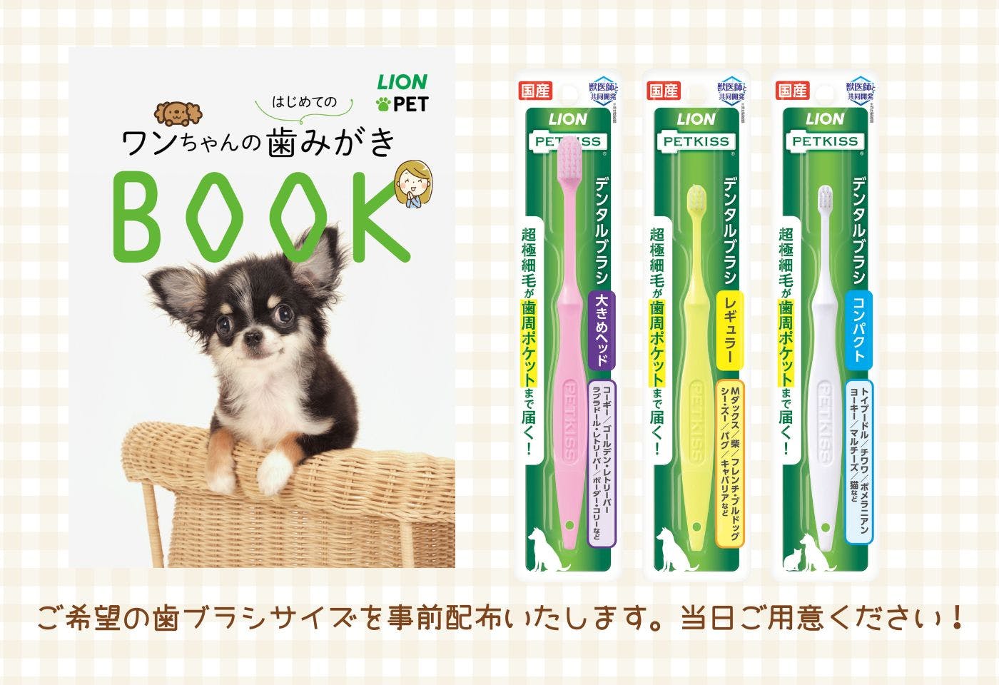 獣医師が教える！オンライン歯みがき教室上級編
