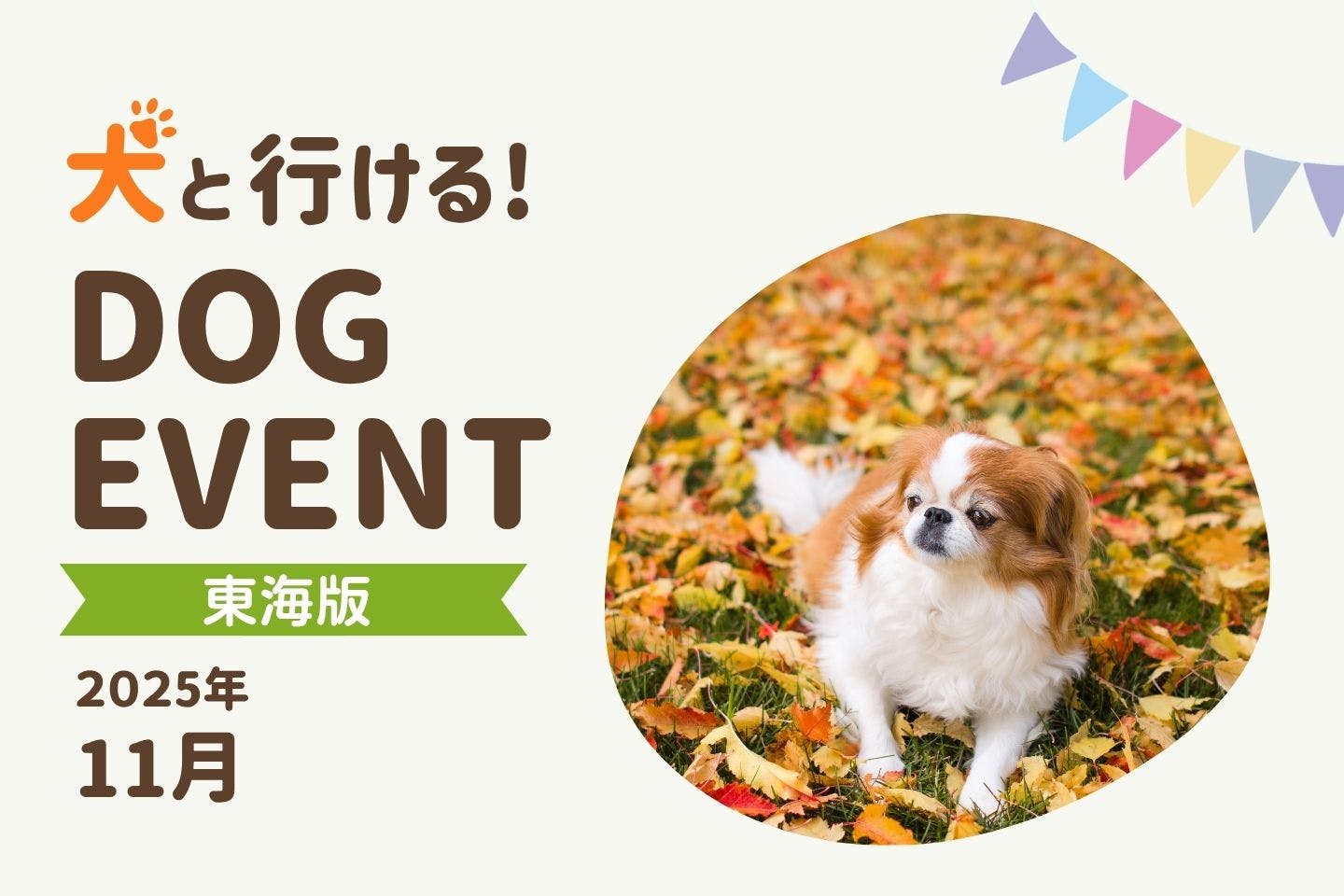 わんこページ【明日18時まで】 ドッグラン 年末年始時間変更・その他のお知らせ | NICO PET（ニコペット）