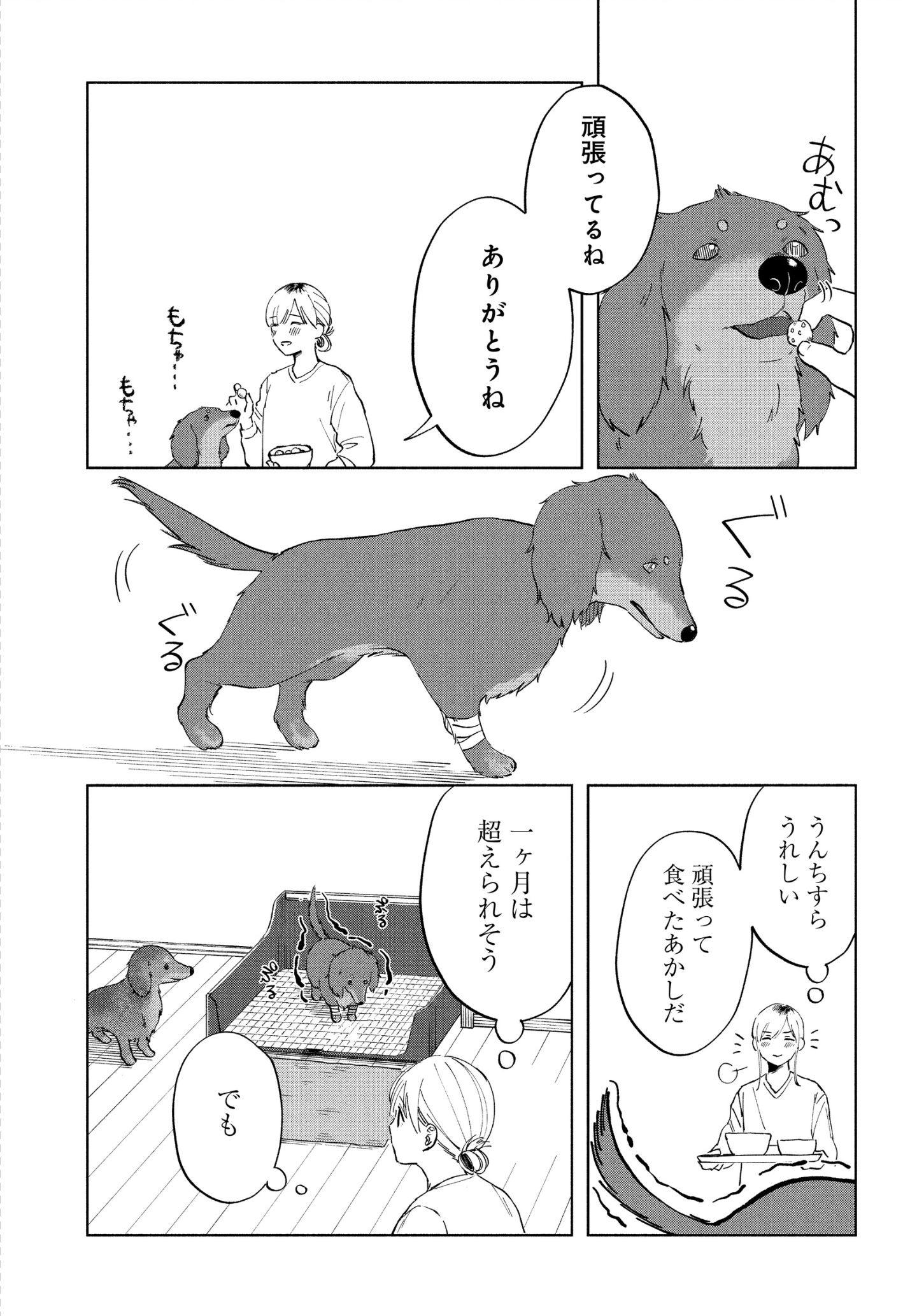 最愛のきみへ。 漫画『アルへ』 最愛のきみへ。 漫画『アルへ』