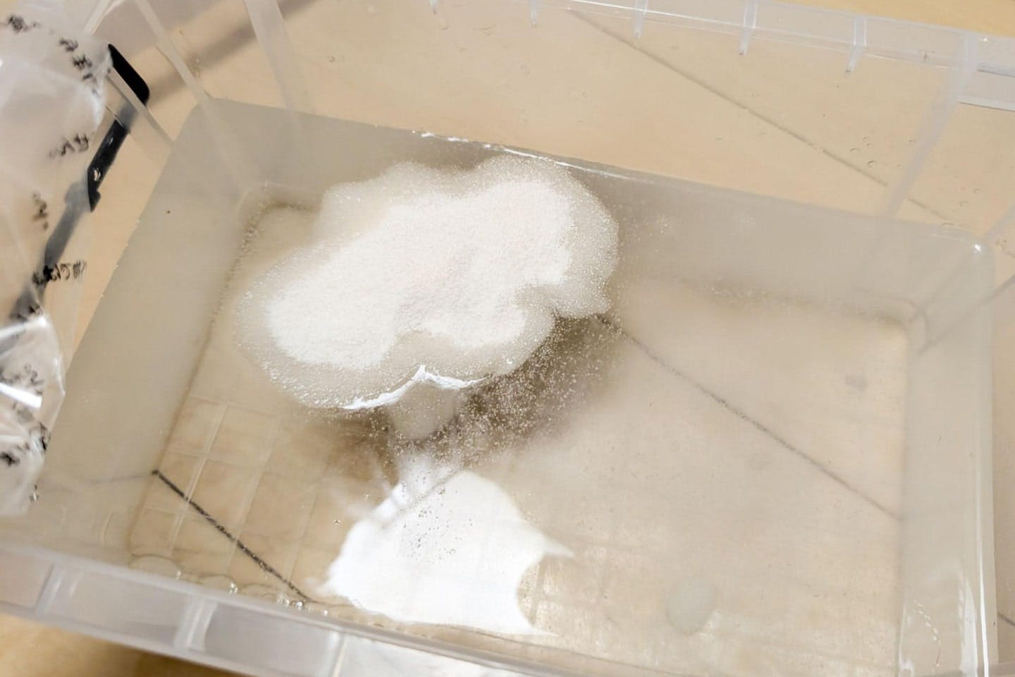 容器のなかに入れられた水と粉のり 容器のなかに入れられた水と粉のり