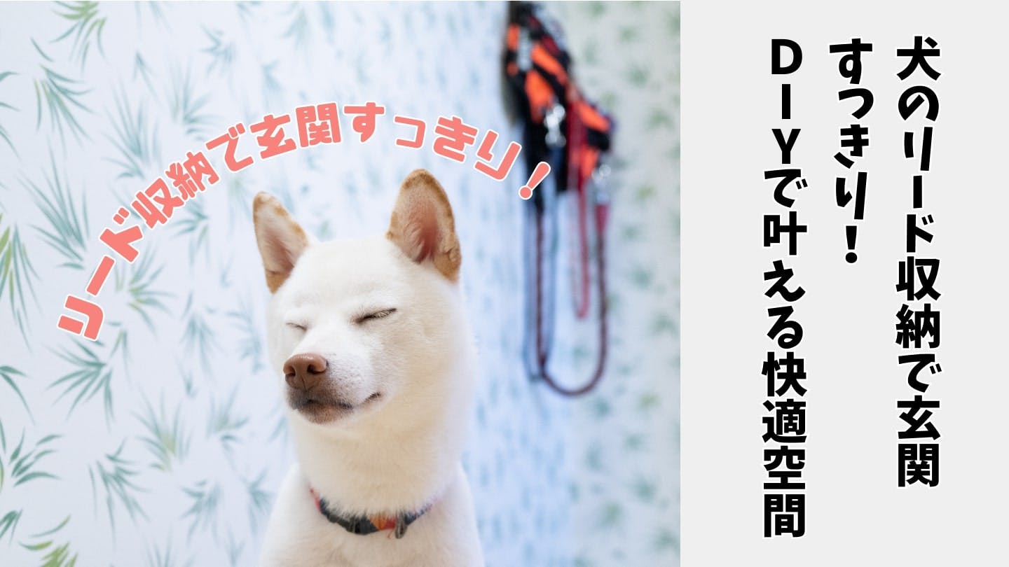 リードの置き場、決まってる? 玄関が片付く手作り収納【カインズ愛犬DIY】
