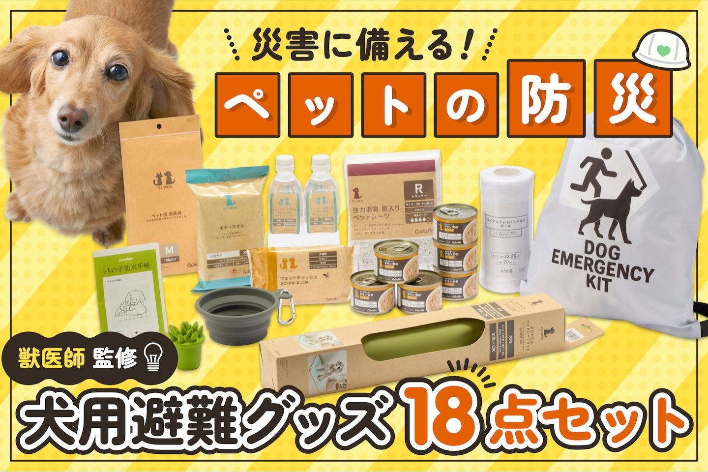 ペットの健康と安全を守りたい」獣医師が本気で選んだカインズの『犬用