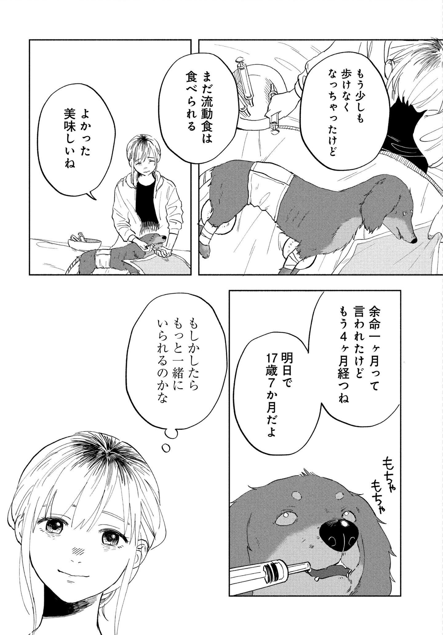 最愛のきみへ。 漫画『アルへ』 最愛のきみへ。 漫画『アルへ』