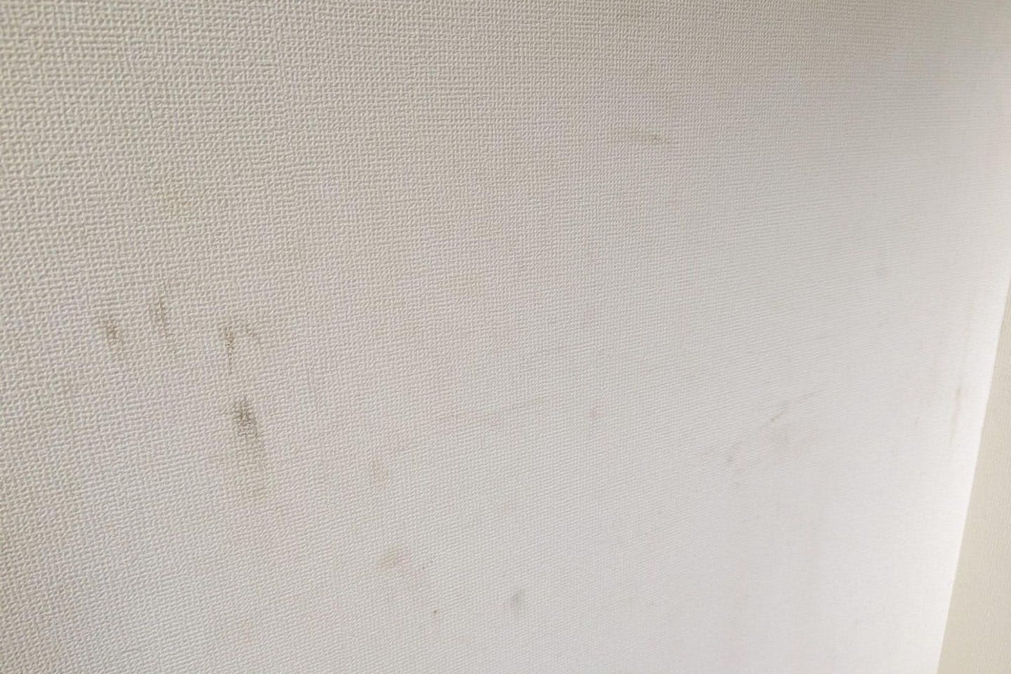 泥汚れが目立つ壁 泥汚れが目立つ壁