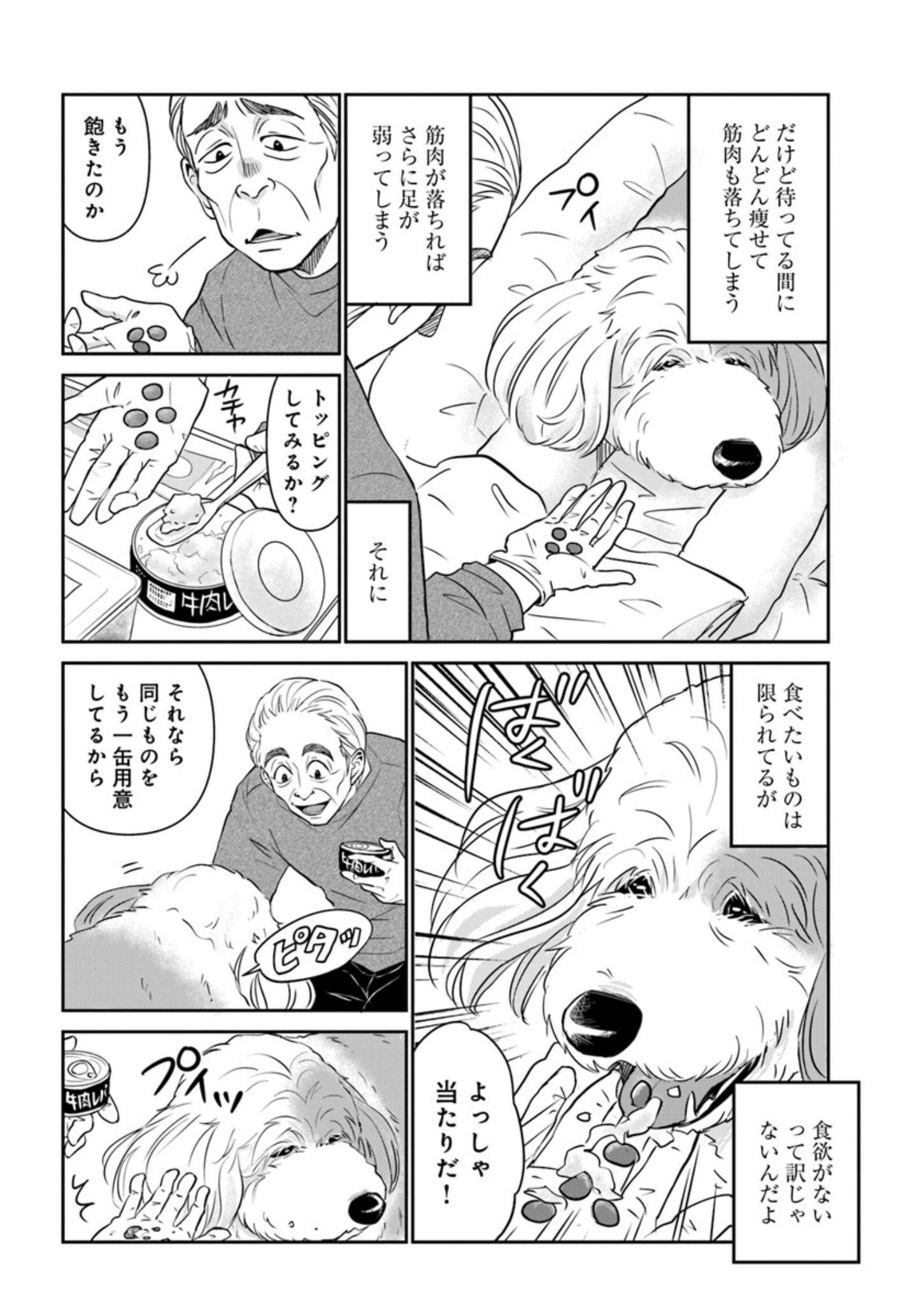 13歳の大型犬の介護生活『DOG SIGNAL(ドッグシグナル)』50話目1/4 自称ベテラン飼い主が指摘『DOG SIGNAL(ドッグシグナル)』50話目2/4