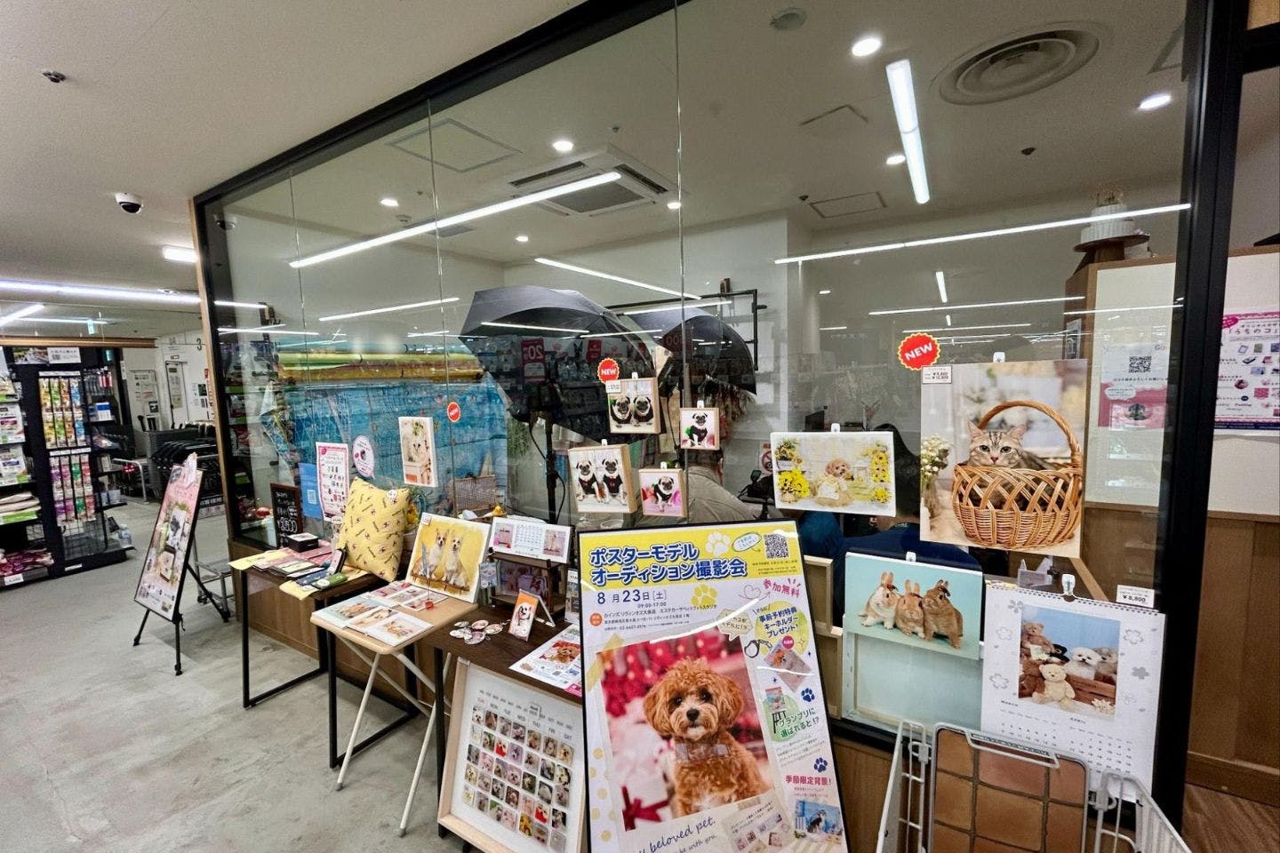 リヴィンオズ大泉店の『エステカーサ ペットフォトスタジオ』