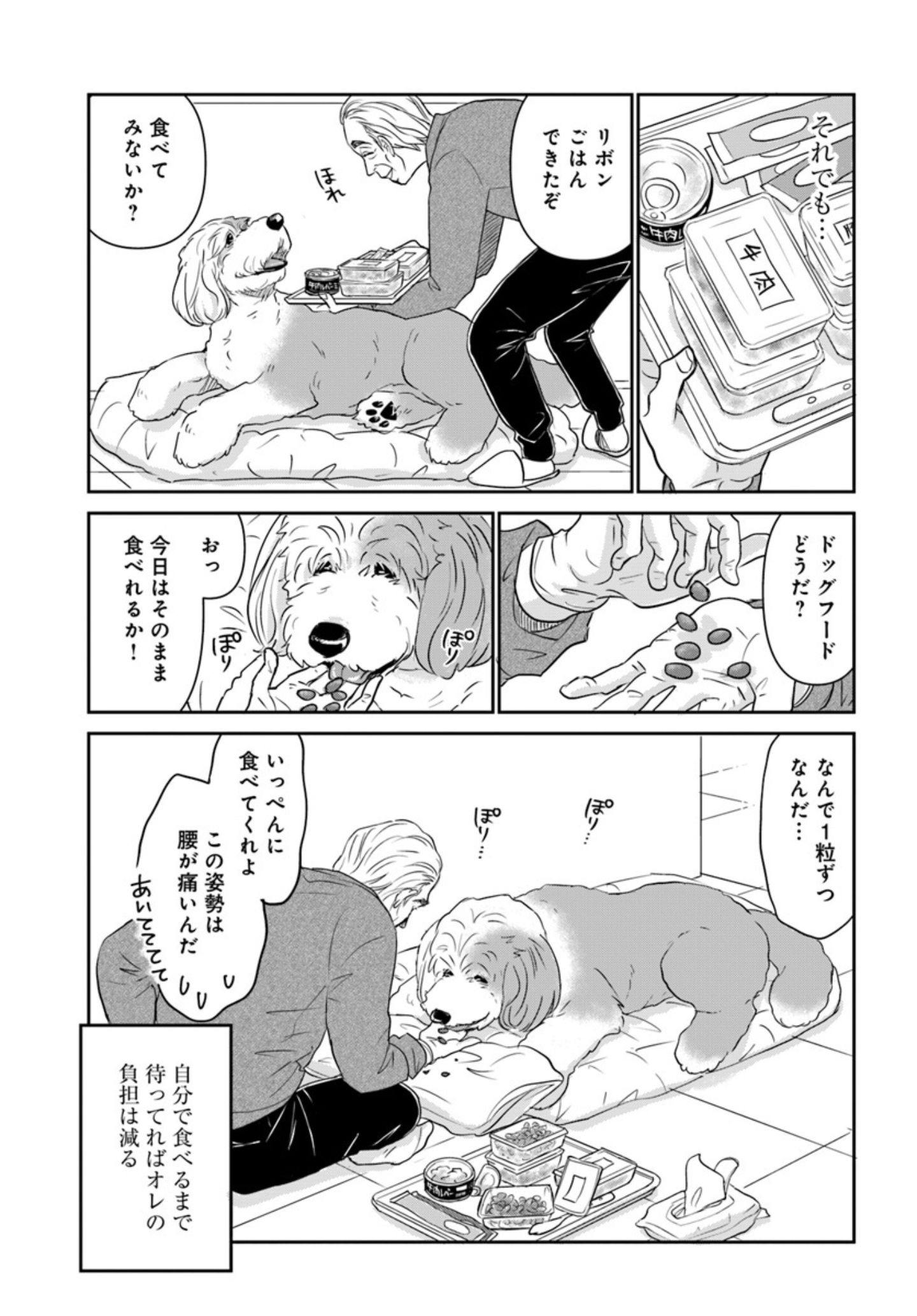 13歳の大型犬の介護生活『DOG SIGNAL(ドッグシグナル)』50話目1/4 自称ベテラン飼い主が指摘『DOG SIGNAL(ドッグシグナル)』50話目2/4