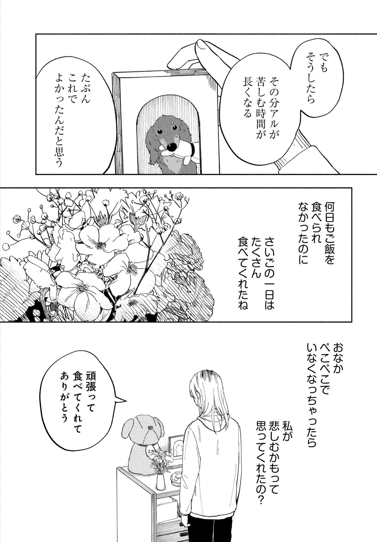 最愛のきみへ。 漫画『アルへ』 最愛のきみへ。 漫画『アルへ』