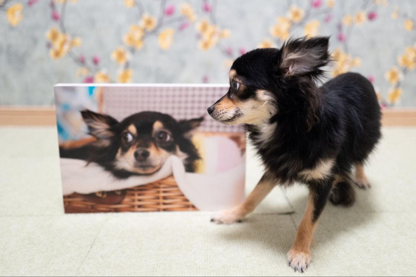 私が『エステカーサ』のスタジオ撮影に最も価値を感じたポイント