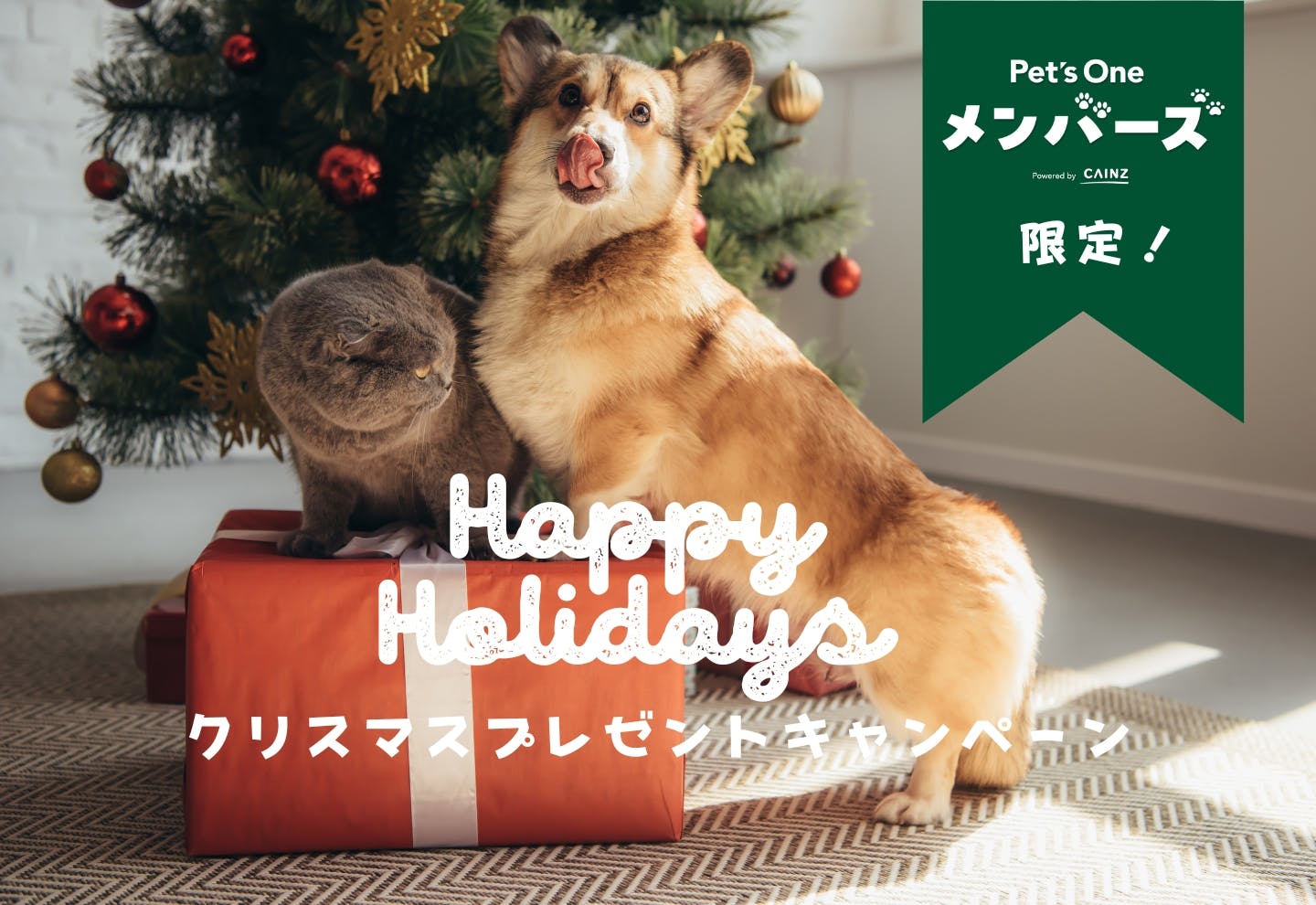 クリスマスリードセット(白クリスマスリース)わんちゃん猫ちゃん用 猫