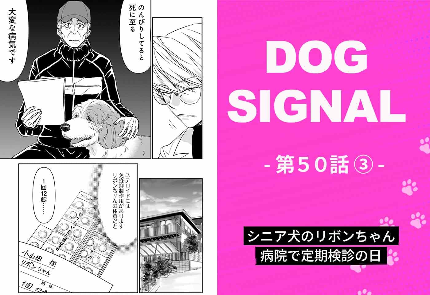 漫画『DOG SIGNAL（ドッグシグナル）』50話目3/4 シニア犬、病院での