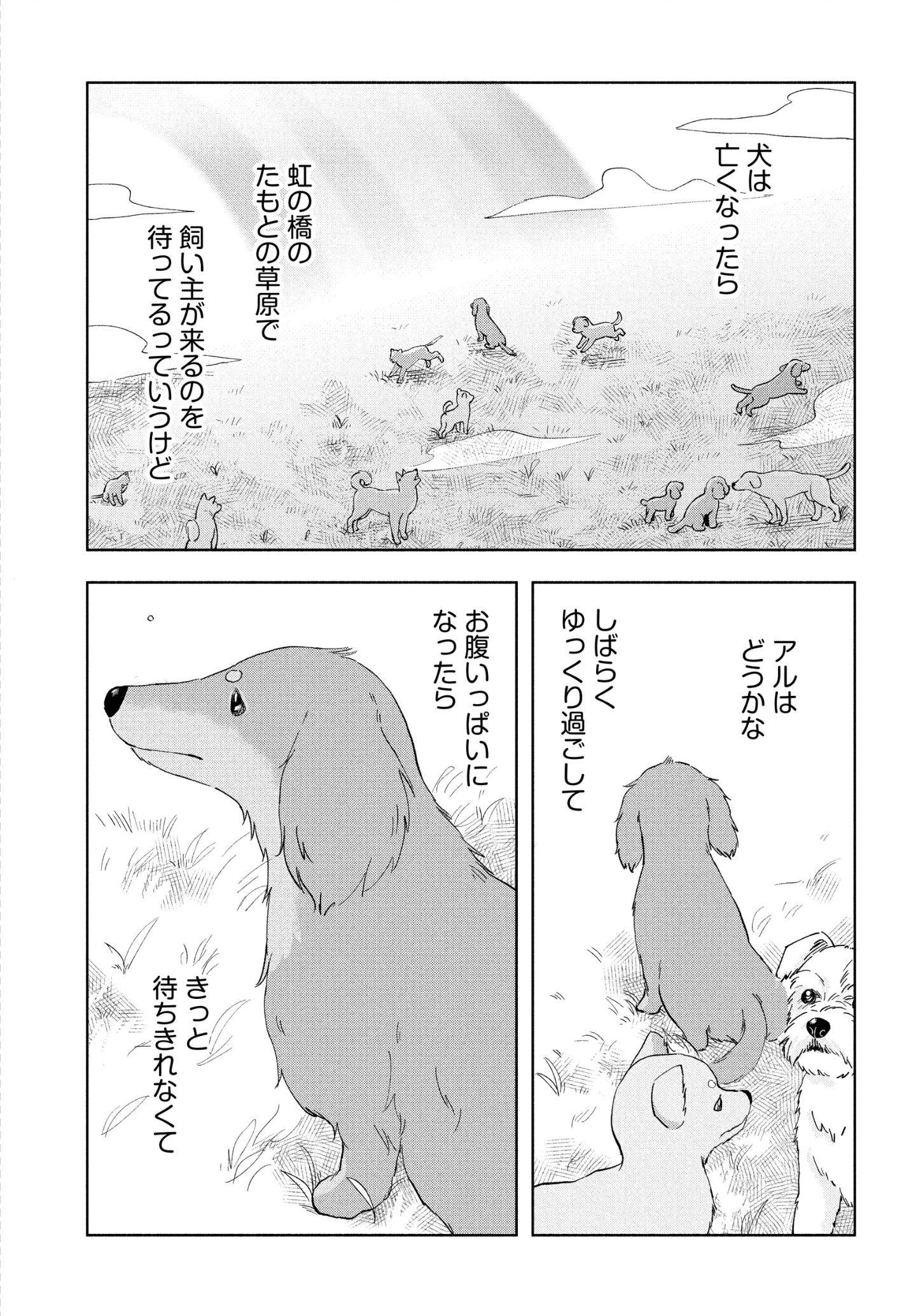 最愛のきみへ。 漫画『アルへ』 最愛のきみへ。 漫画『アルへ』