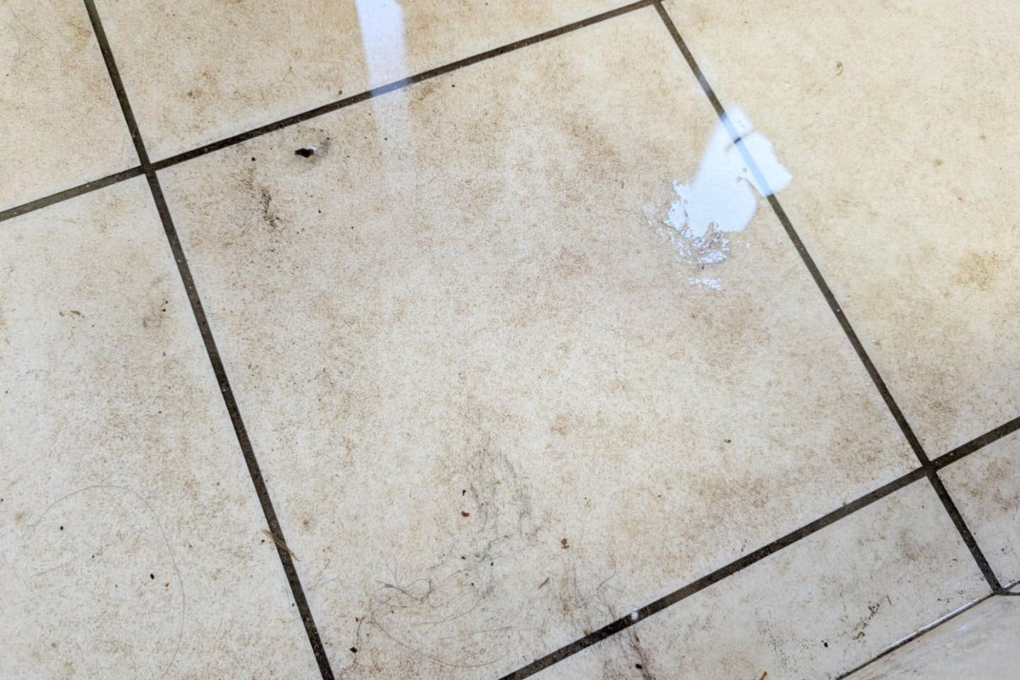 汚れた玄関タイル 汚れた玄関タイル