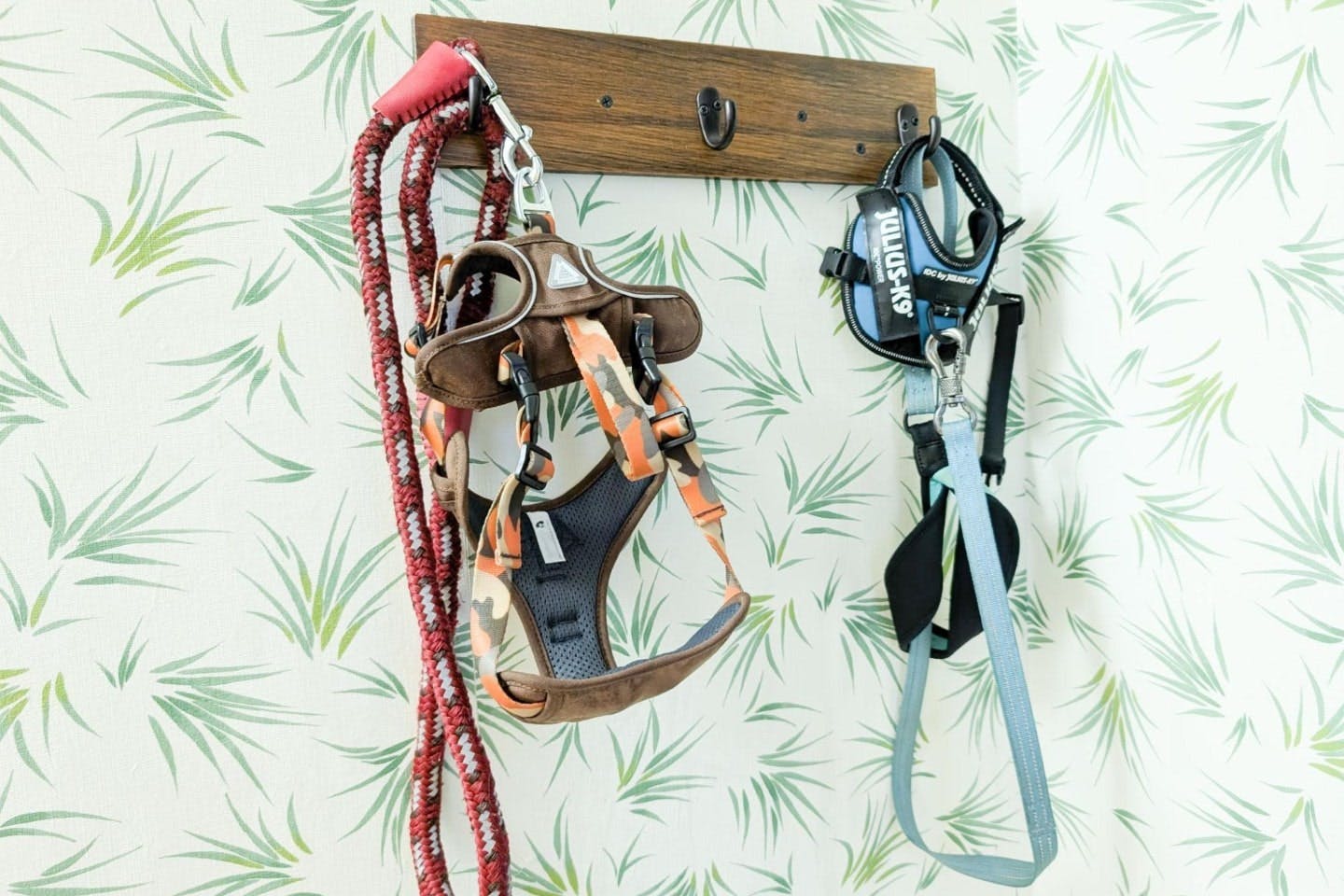 リードを掛けられるフックを壁紙に設置した状態 リードを掛けられるフックを壁紙に設置した状態