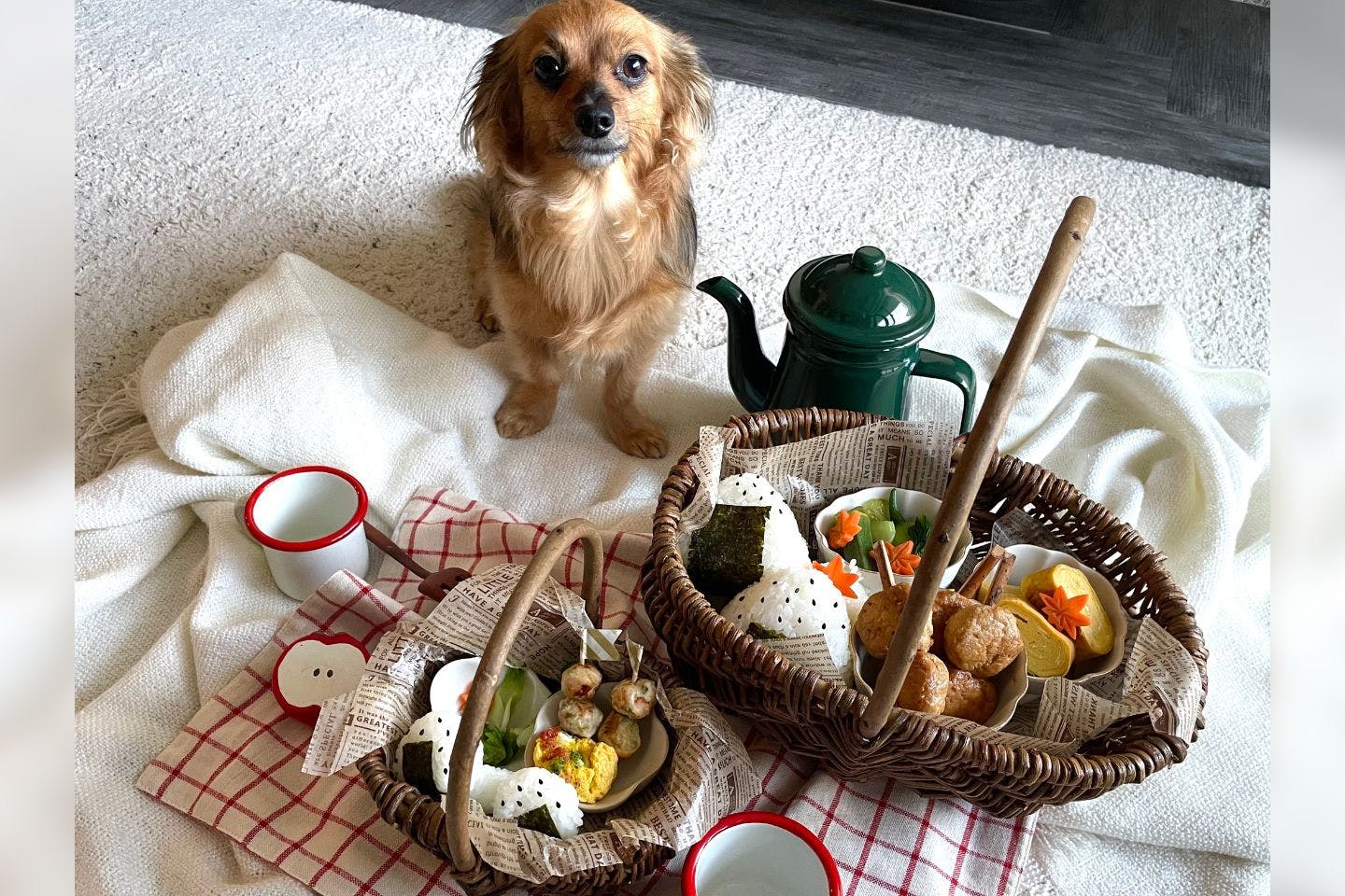 【材料】愛犬食べられる手作りピクニック弁当