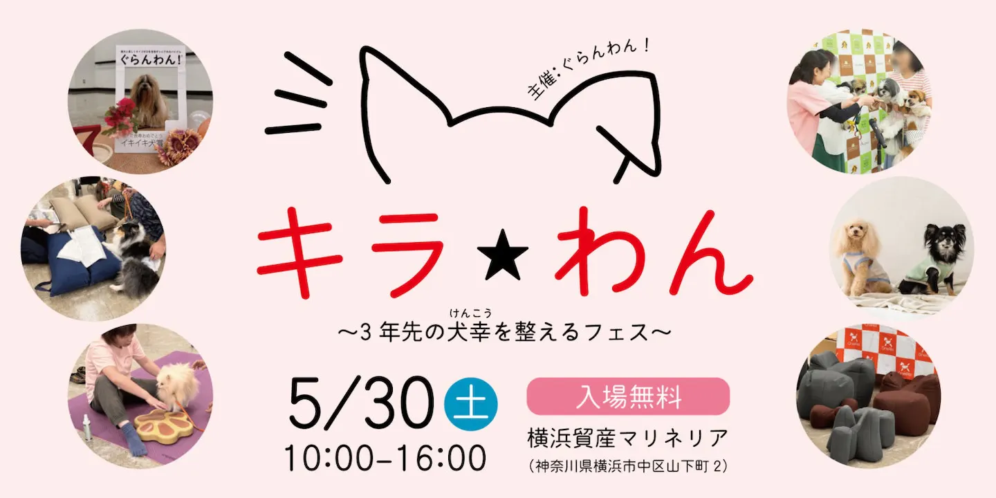 キラキラ☆わんコラボ