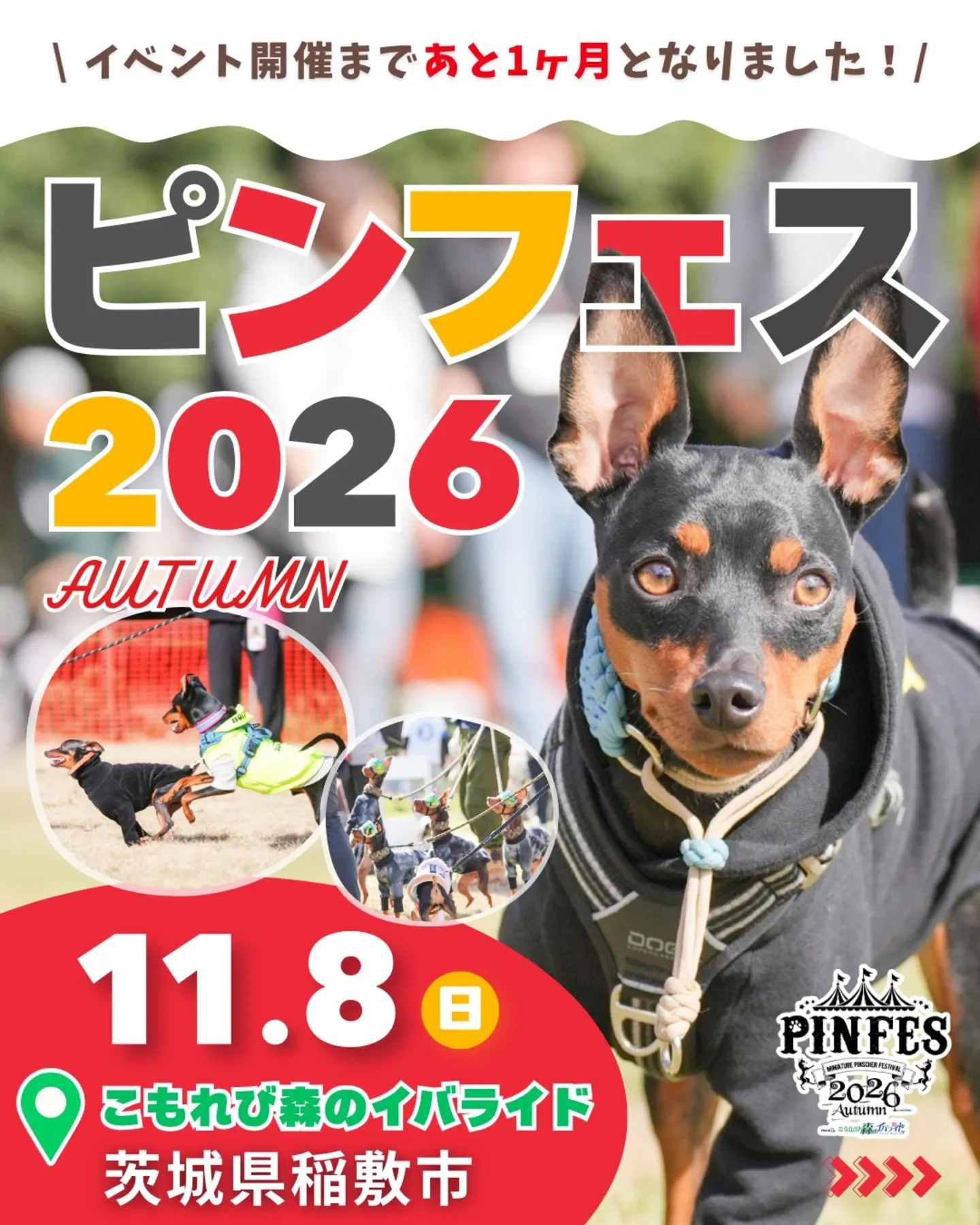 ピンフェス 2026 AUTUMN meets こもれび森のイバライド ピンフェス 2026 AUTUMN meets こもれび森のイバライド