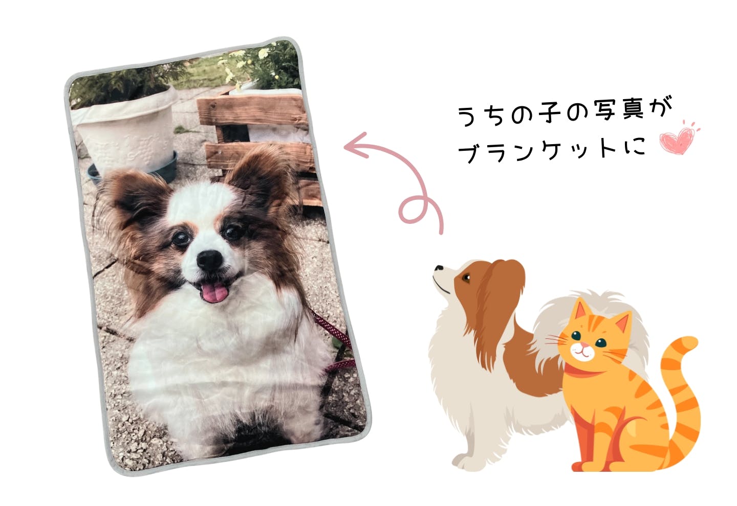 愛犬の写真がオリジナルブランケットに!カインズのプレゼントキャンペーン イメージ 愛犬の写真がオリジナルブランケットに!カインズのプレゼントキャンペーン