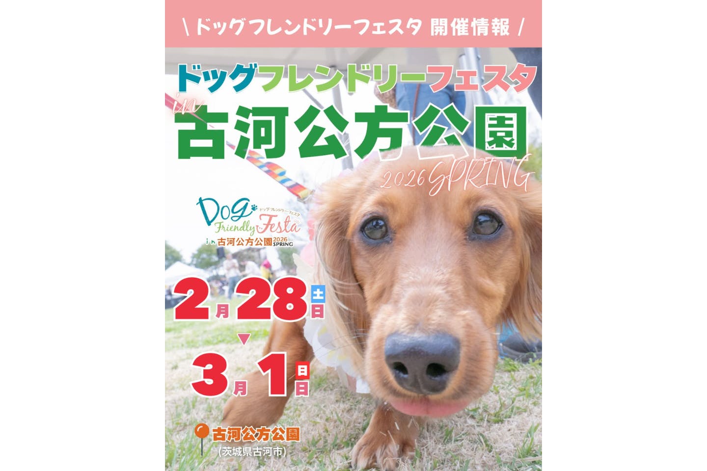 ドッグフレンドリーフェスタ in 古河公方公園 2026 SPRING ドッグフレンドリーフェスタ in 古河公方公園 2026 SPRING
