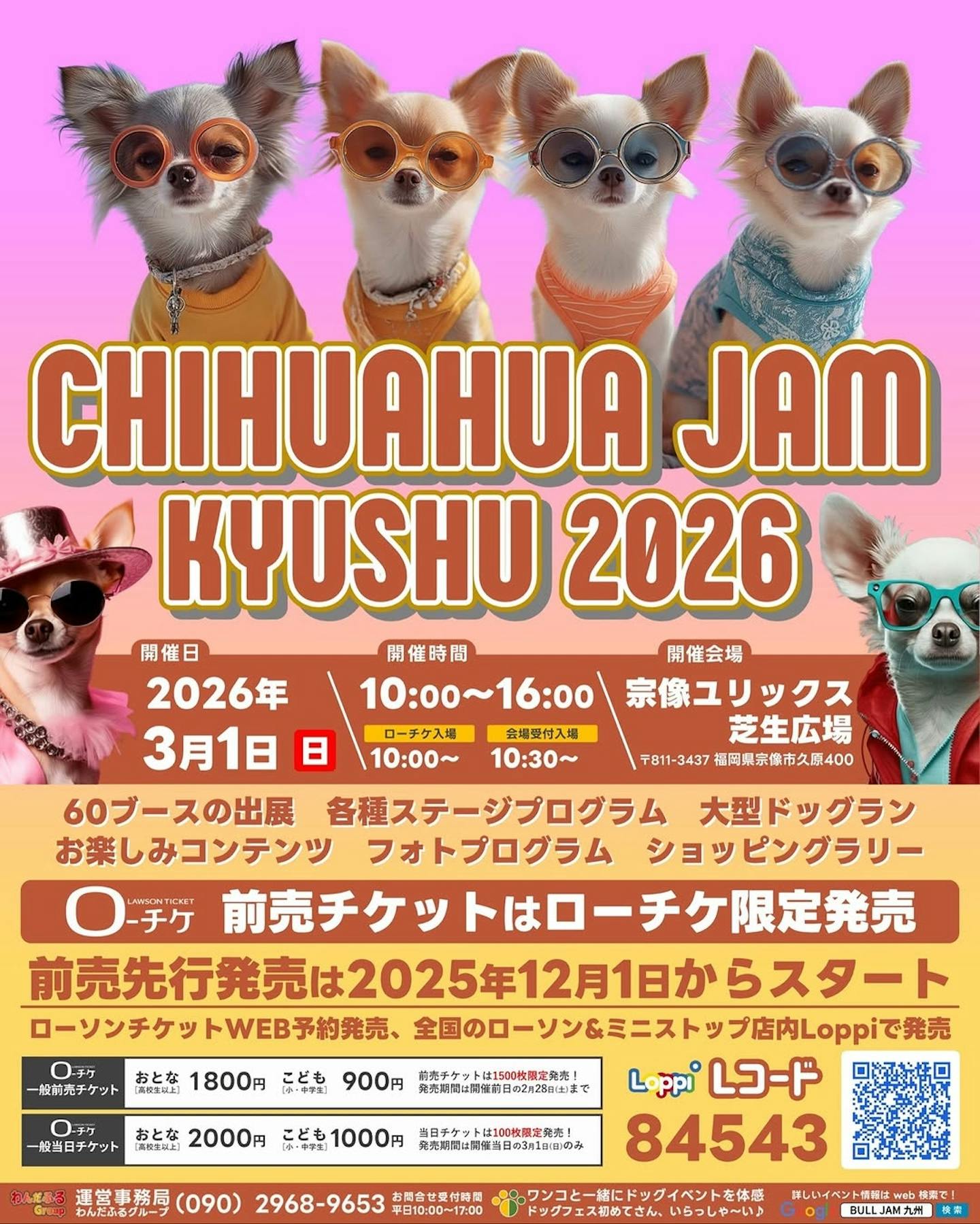 チワワ JAM 九州 2026
