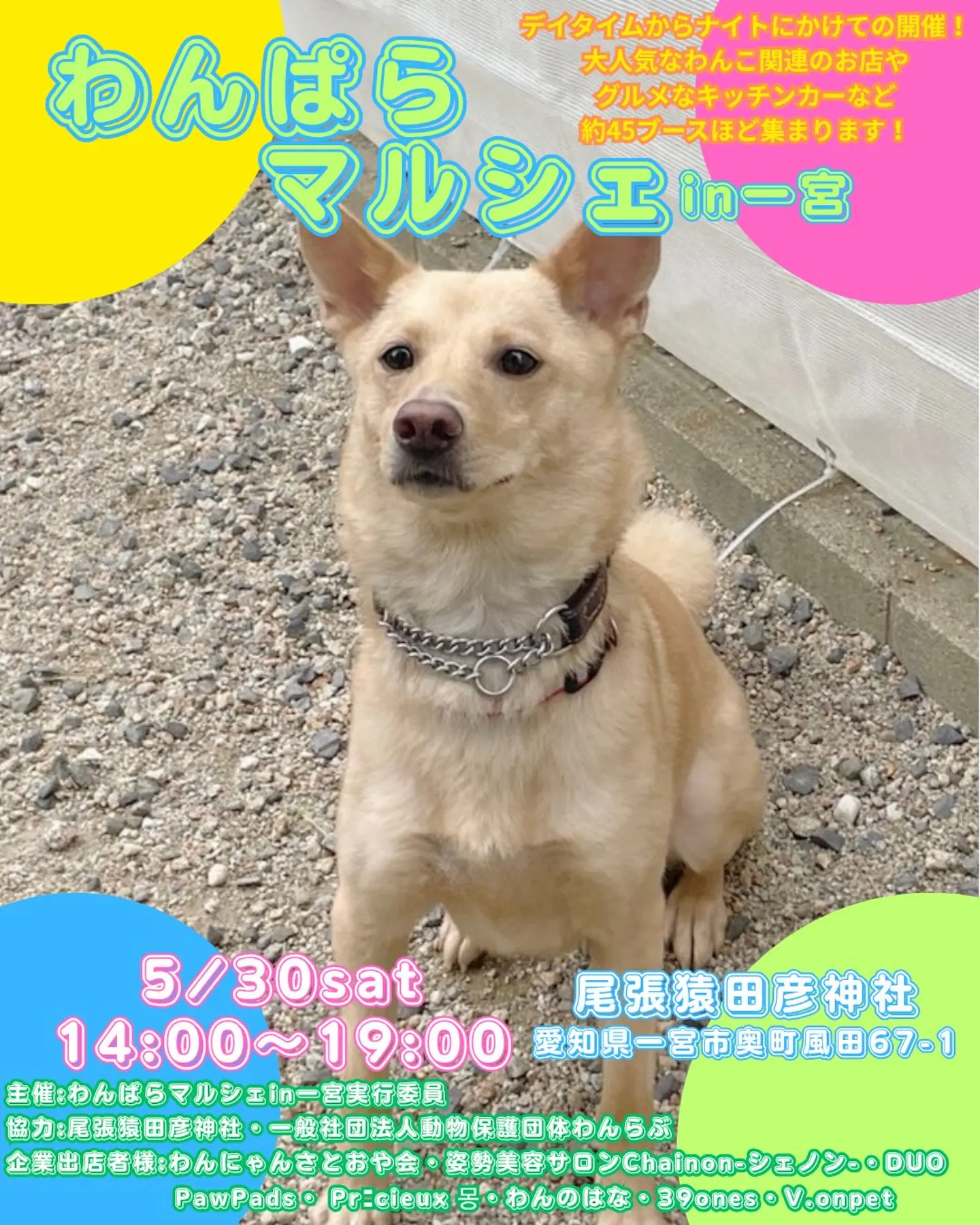 わんぱらマルシェ in 一宮
