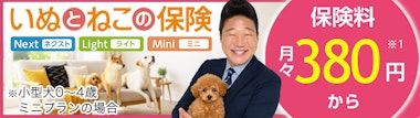いぬとねこの保険