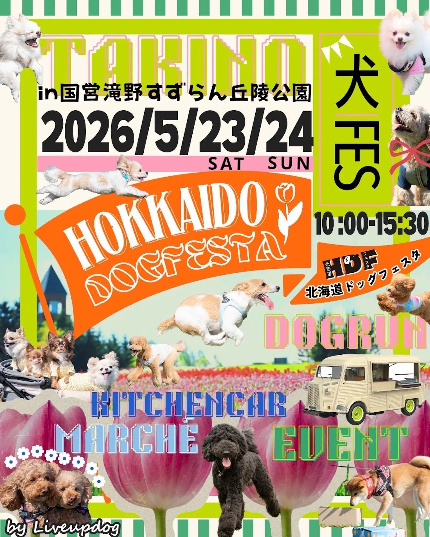 北海道ドッグフェスタ