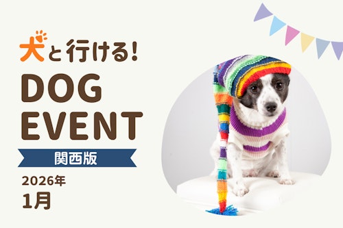 犬！！ページ DOGSTANCE鹿肉ウェット(鶏肉入り)｜ペットスタンス ドッグスタンス