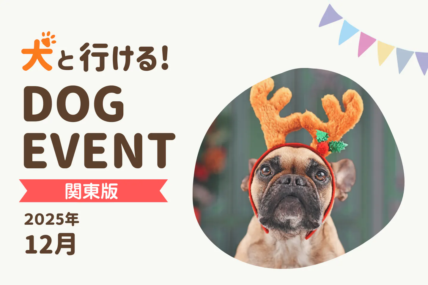 2025年12月関東版】愛犬と一緒に楽しめるドッグイベント|ワンクォール