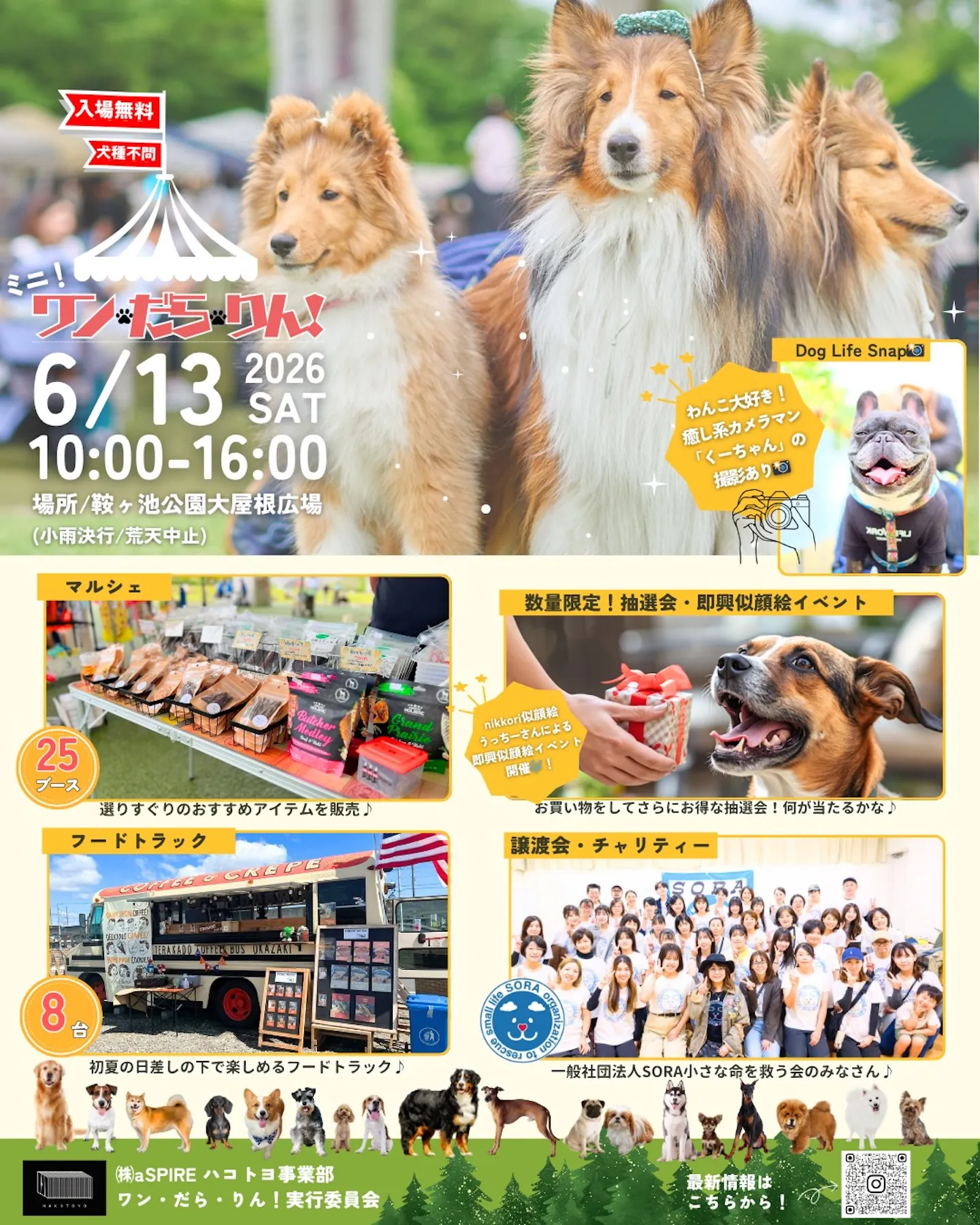 ミニ！ワン・だら・りん！
