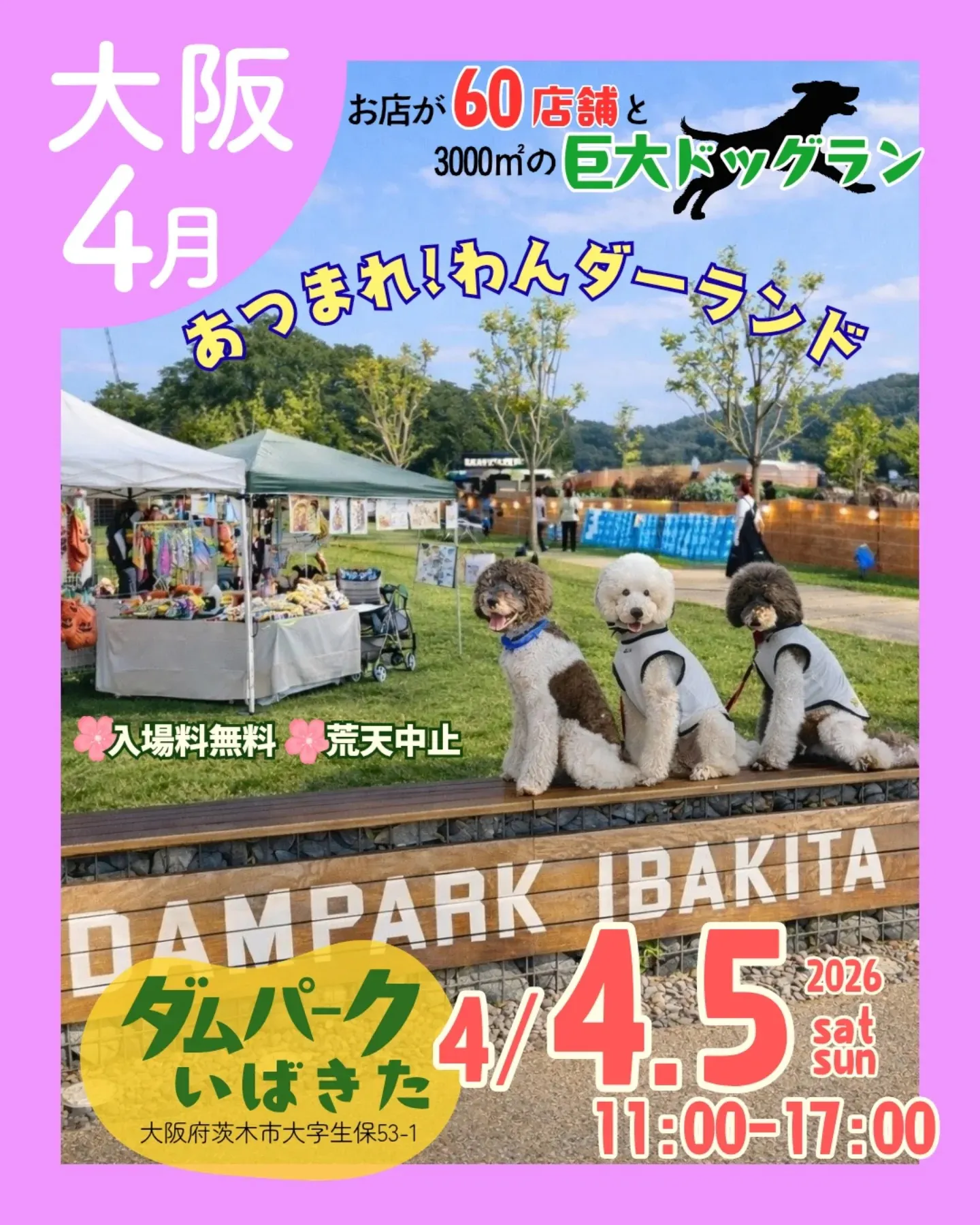 あつまれ！わんダーランド