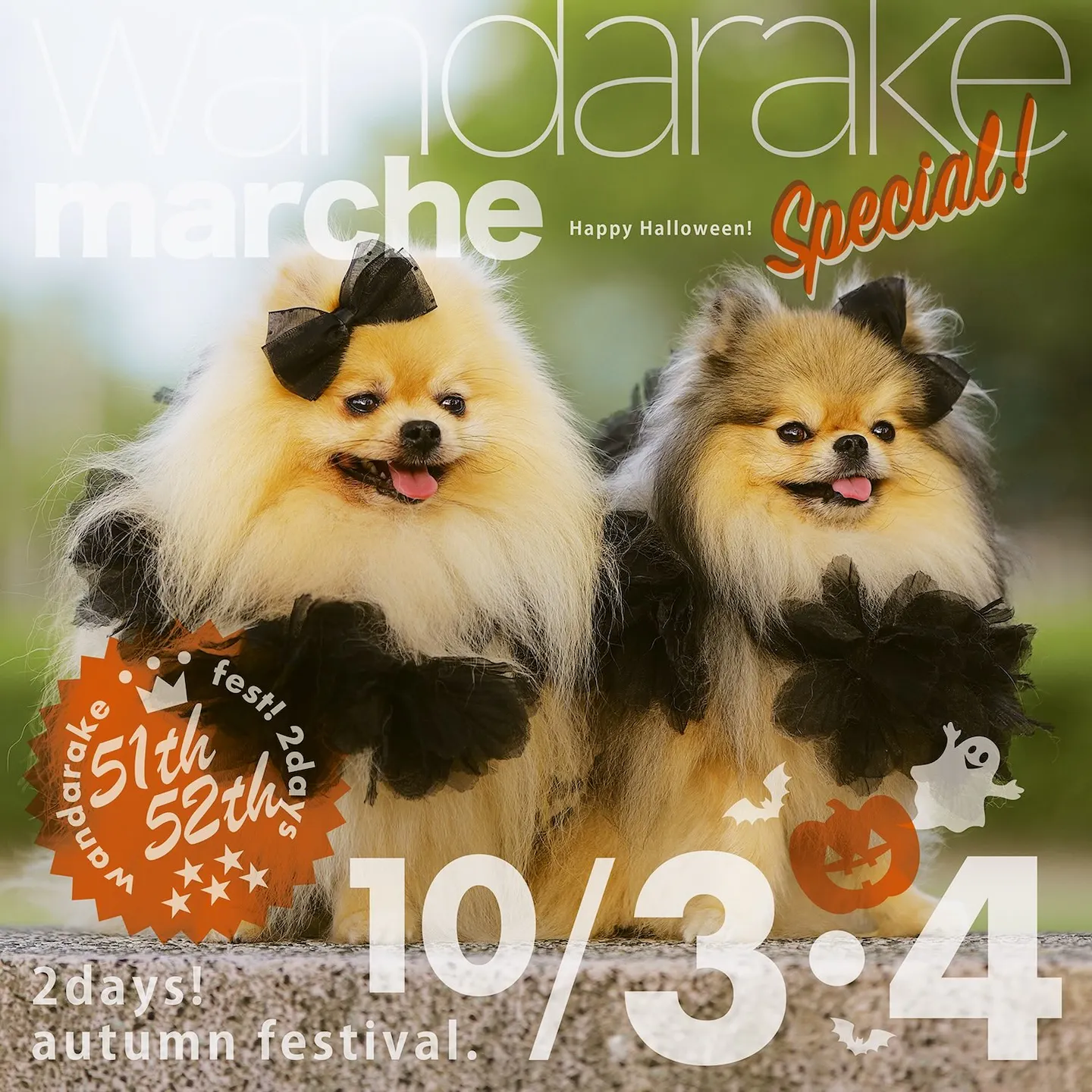 wandarake marche 51&52! わんだらけマルシェ