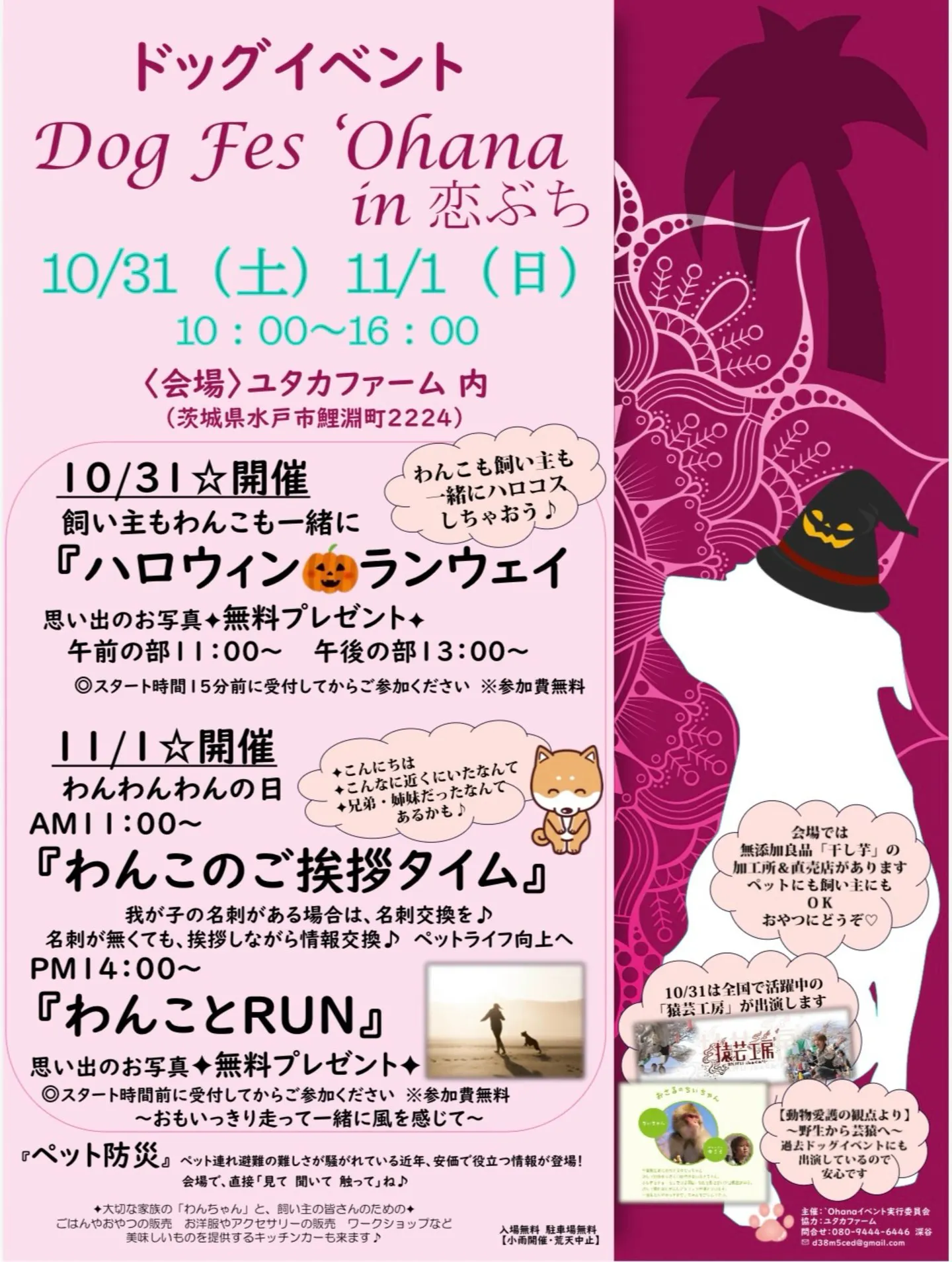 Dog Fes'Ohana in 恋ぶち