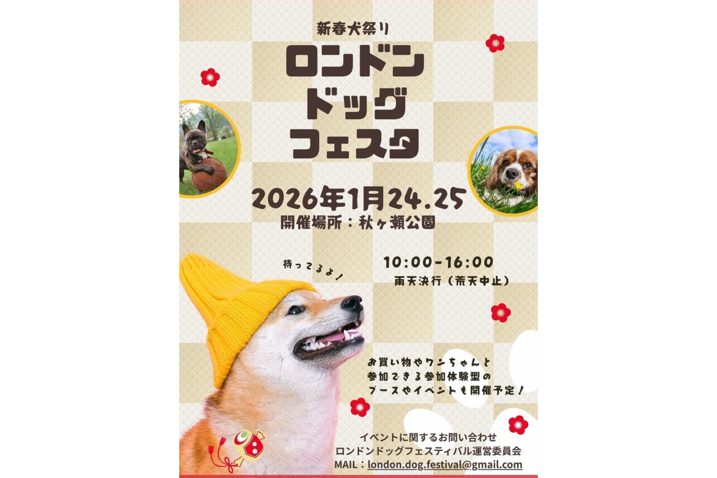 London Dog Festival 新春犬祭り ロンドンドッグフェスティバル London Dog Festival 新春犬祭り ロンドンドッグフェスティバル
