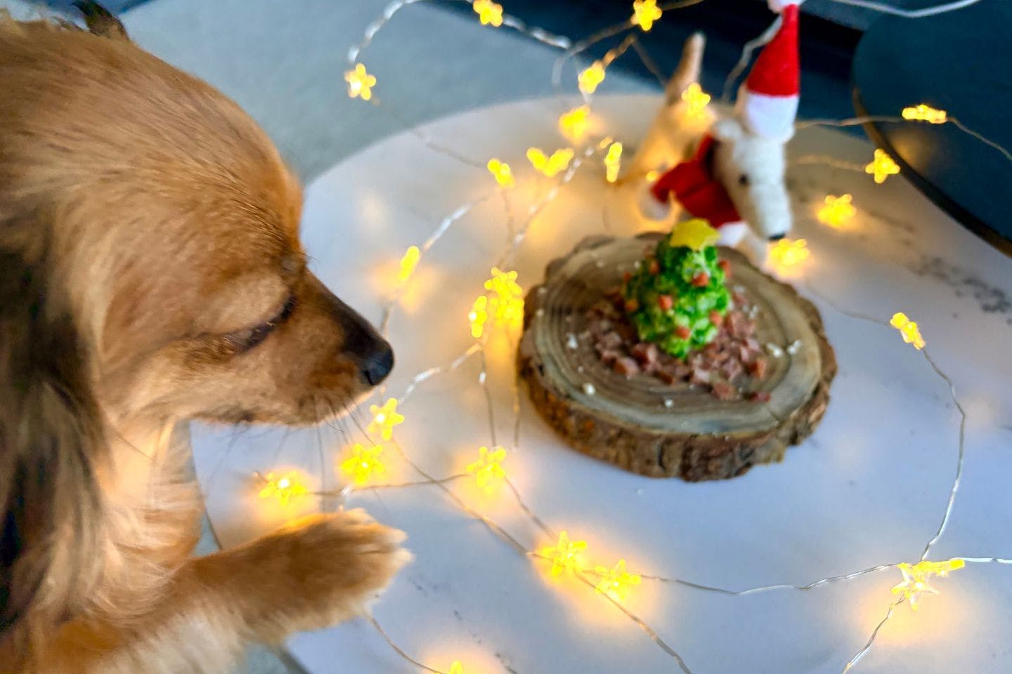 犬とポテサラツリー