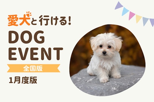 2026年1月】全国の愛犬と一緒に楽しめるドッグイベント|ワンクォール