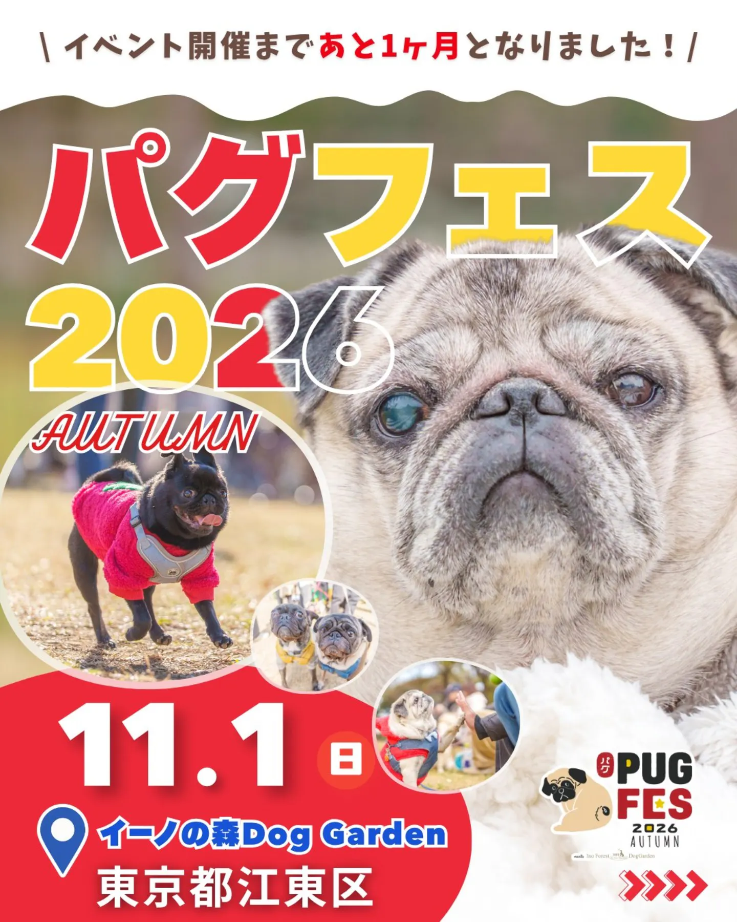 パグフェス 2026 AUTUMN meets イーノの森Dog Garden パグフェス 2026 AUTUMN meets イーノの森Dog Garden