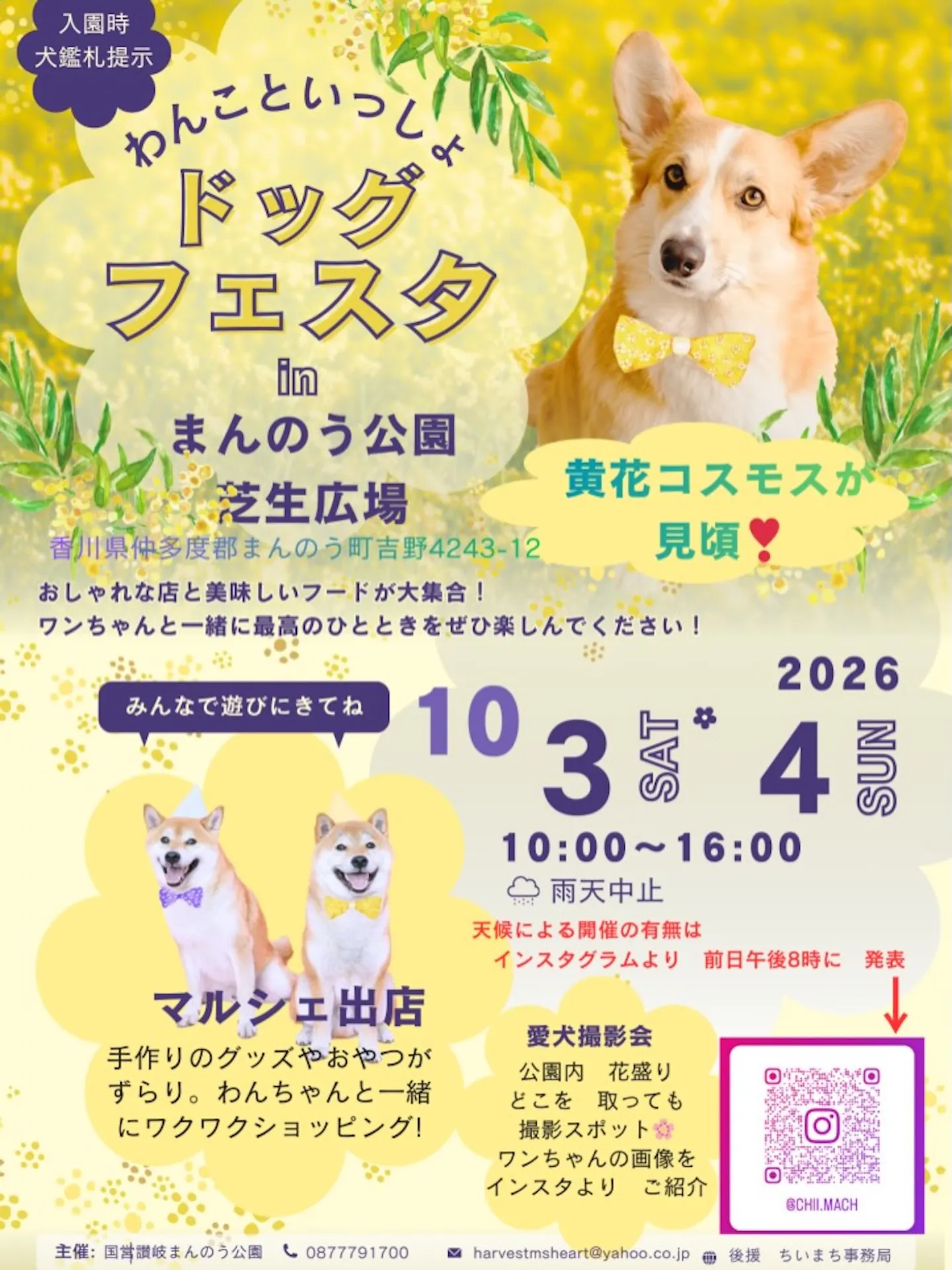 わんこといっしょドッグフェスタ in まんのう公園 芝生広場