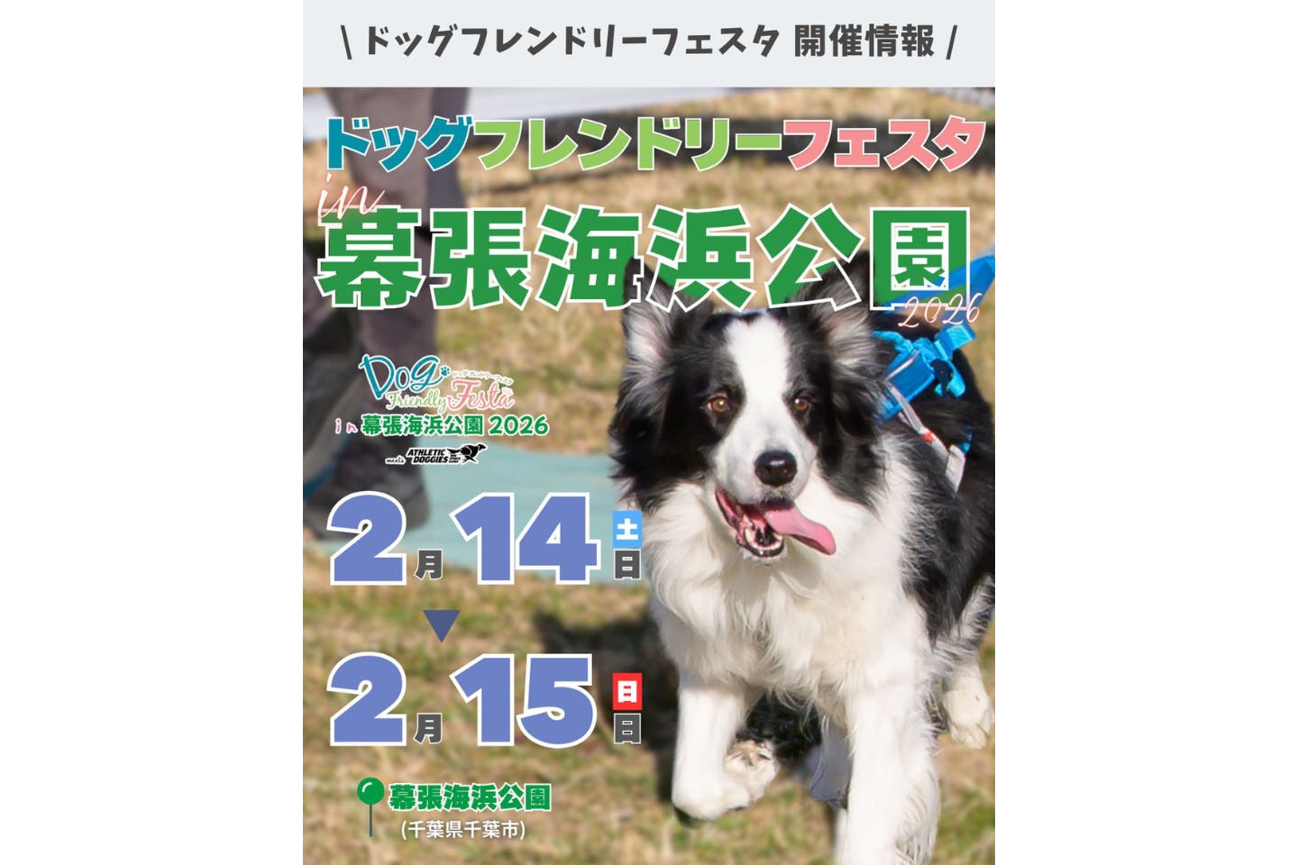 ドッグフレンドリーフェスタ in 幕張海浜公園 2026 meets アスレチックドギーズ ドッグフレンドリーフェスタ in 幕張海浜公園 2026 meets アスレチックドギーズ