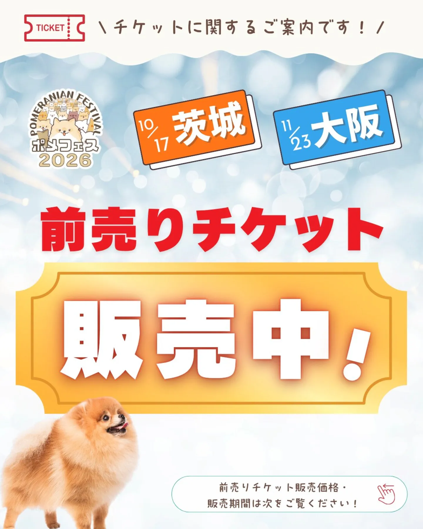 ポメラニアンフェスティバル 2026 AUTUMN meets 大阪北港マリーナ