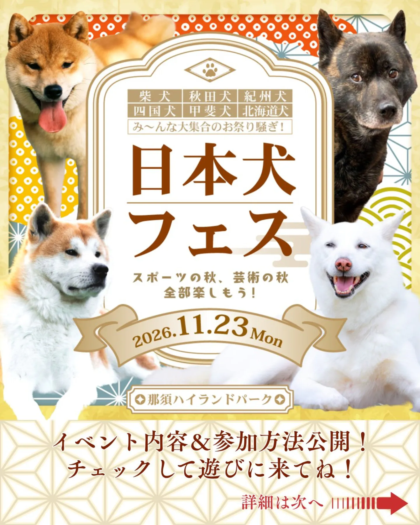 日本犬フェス 日本犬フェス