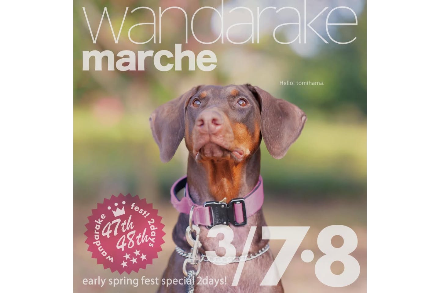 wandarake fest ! 47&48 わんだらけフェス