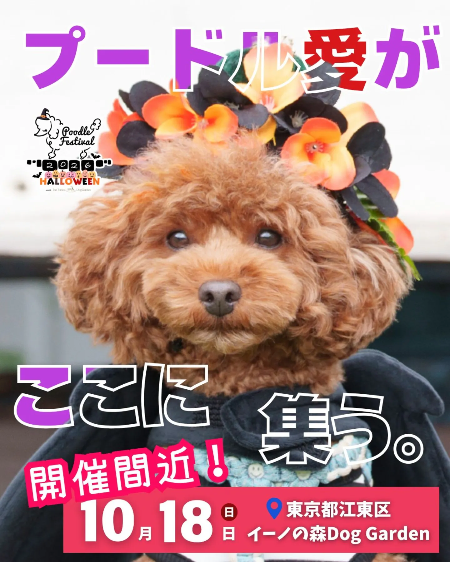 プードルフェスティバル 2026 HALLOWEEN meets イーノの森Dog Garden