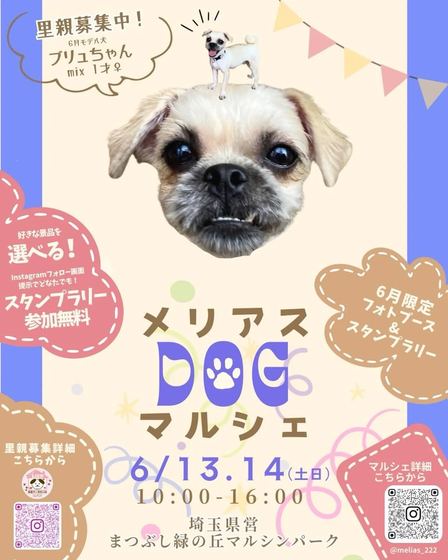 メリアスdogマルシェ