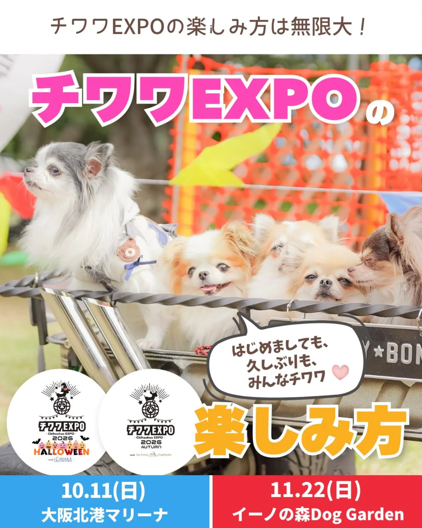 チワワEXPO 2026 AUTUMN meets イーノの森Dog Garden チワワEXPO 2026 AUTUMN meets イーノの森Dog Garden