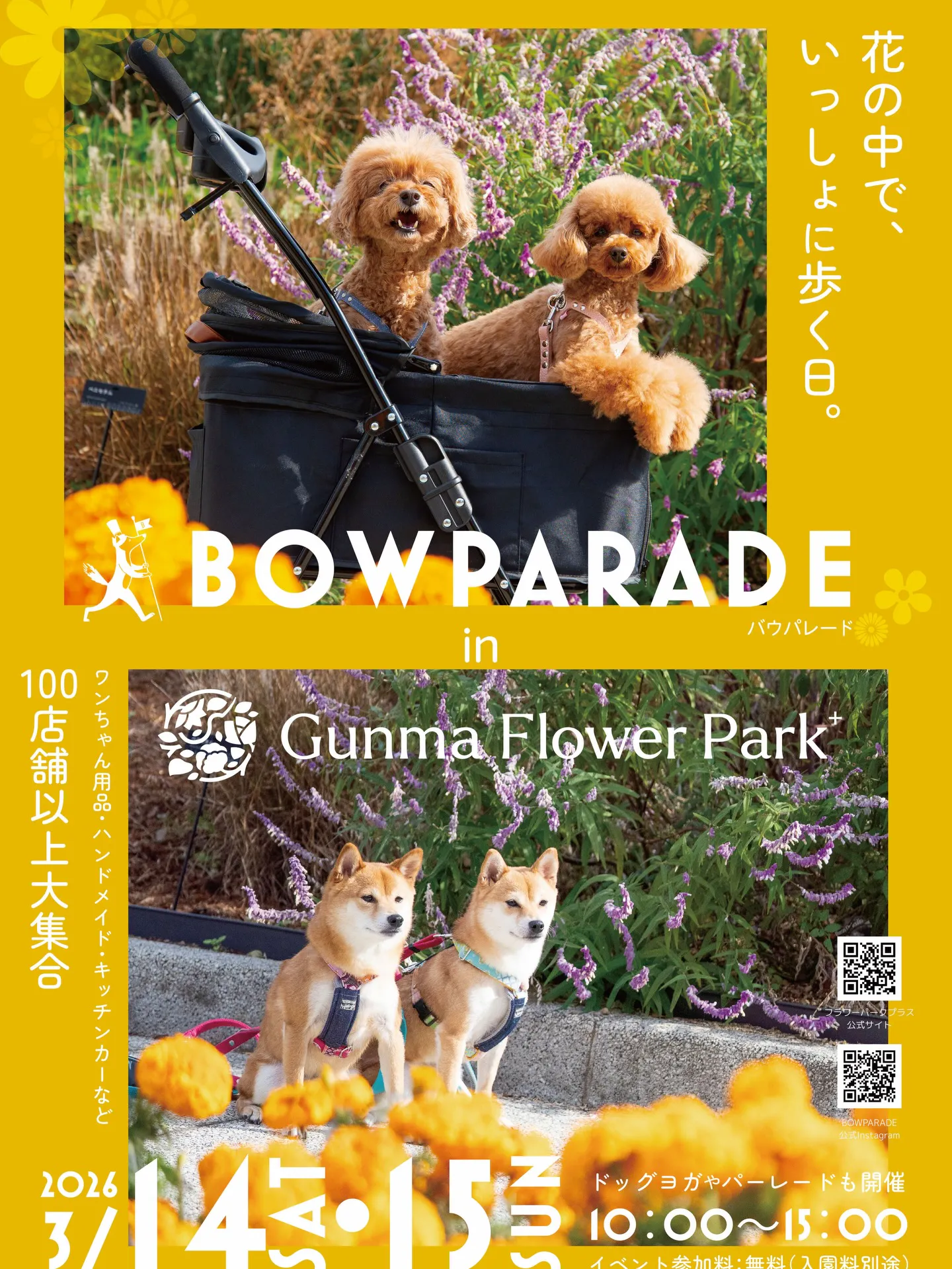 BOW PARADE