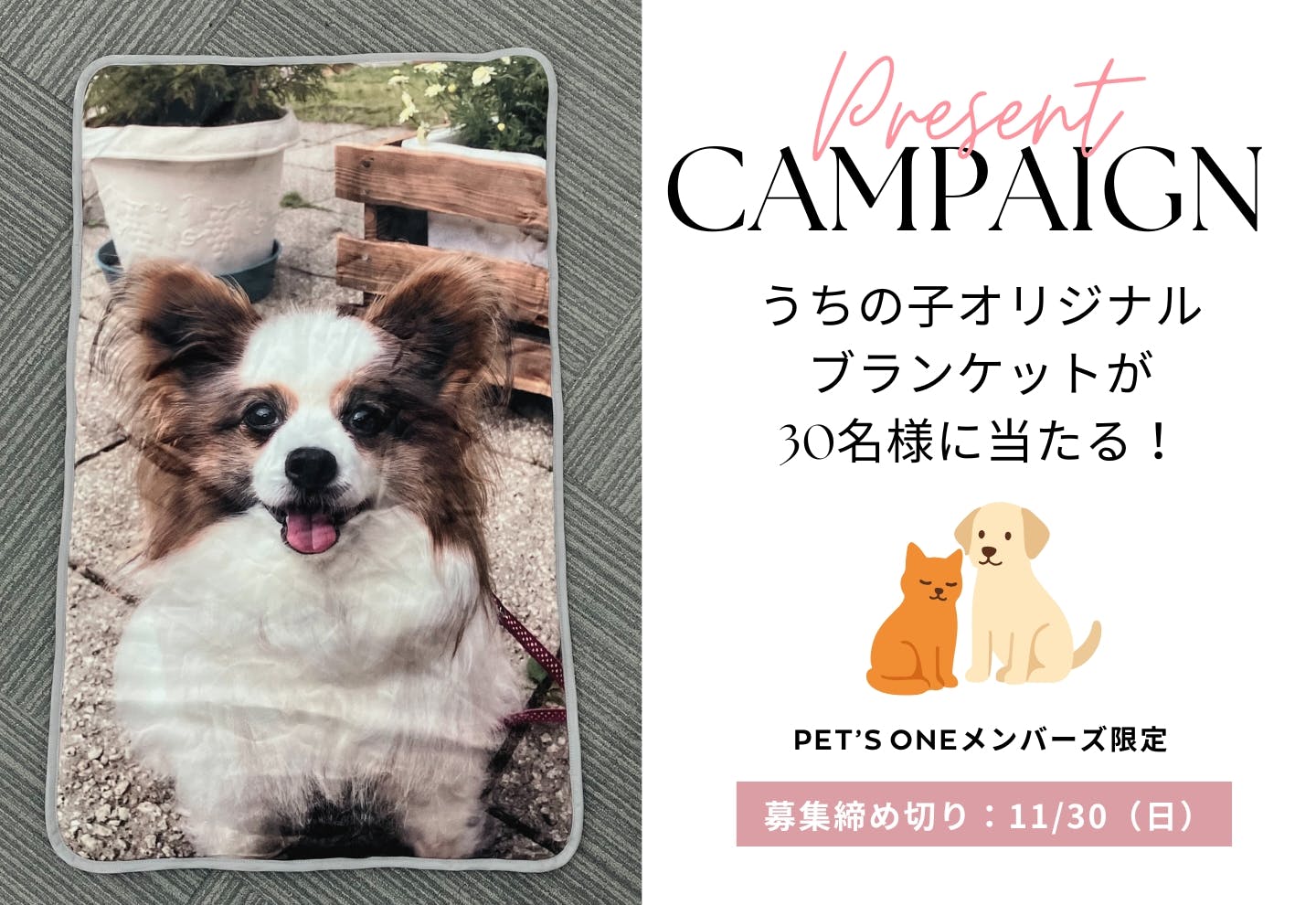愛犬の写真がブランケットに！カインズ プレゼントキャンペーン