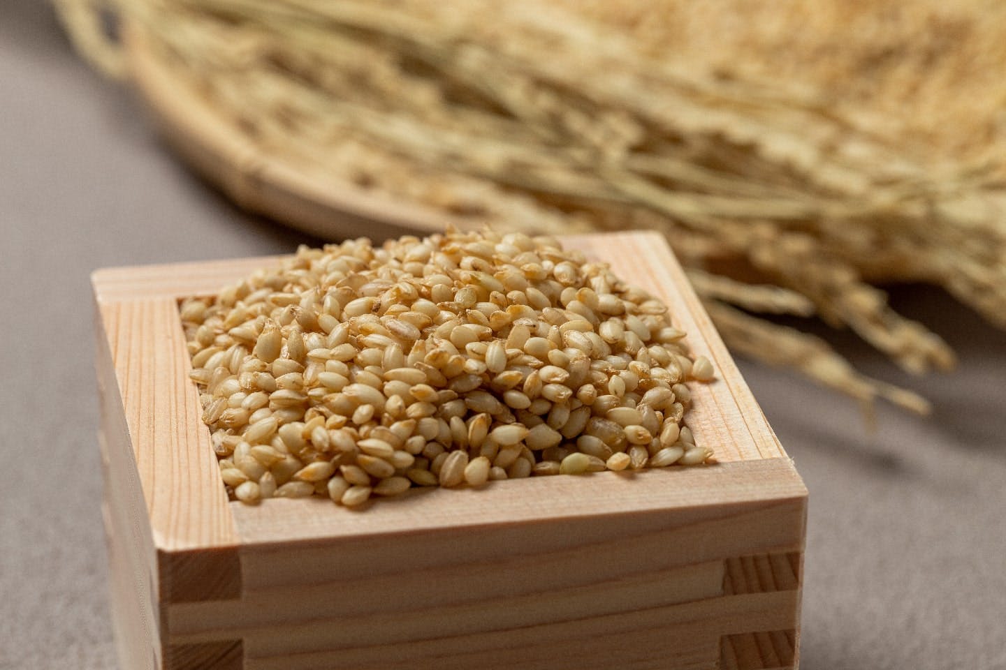 犬に玄米を少量なら与えても基本的には大丈夫！ 消化やアレルギーの注意点、適量、与え方を解説【獣医師監修】