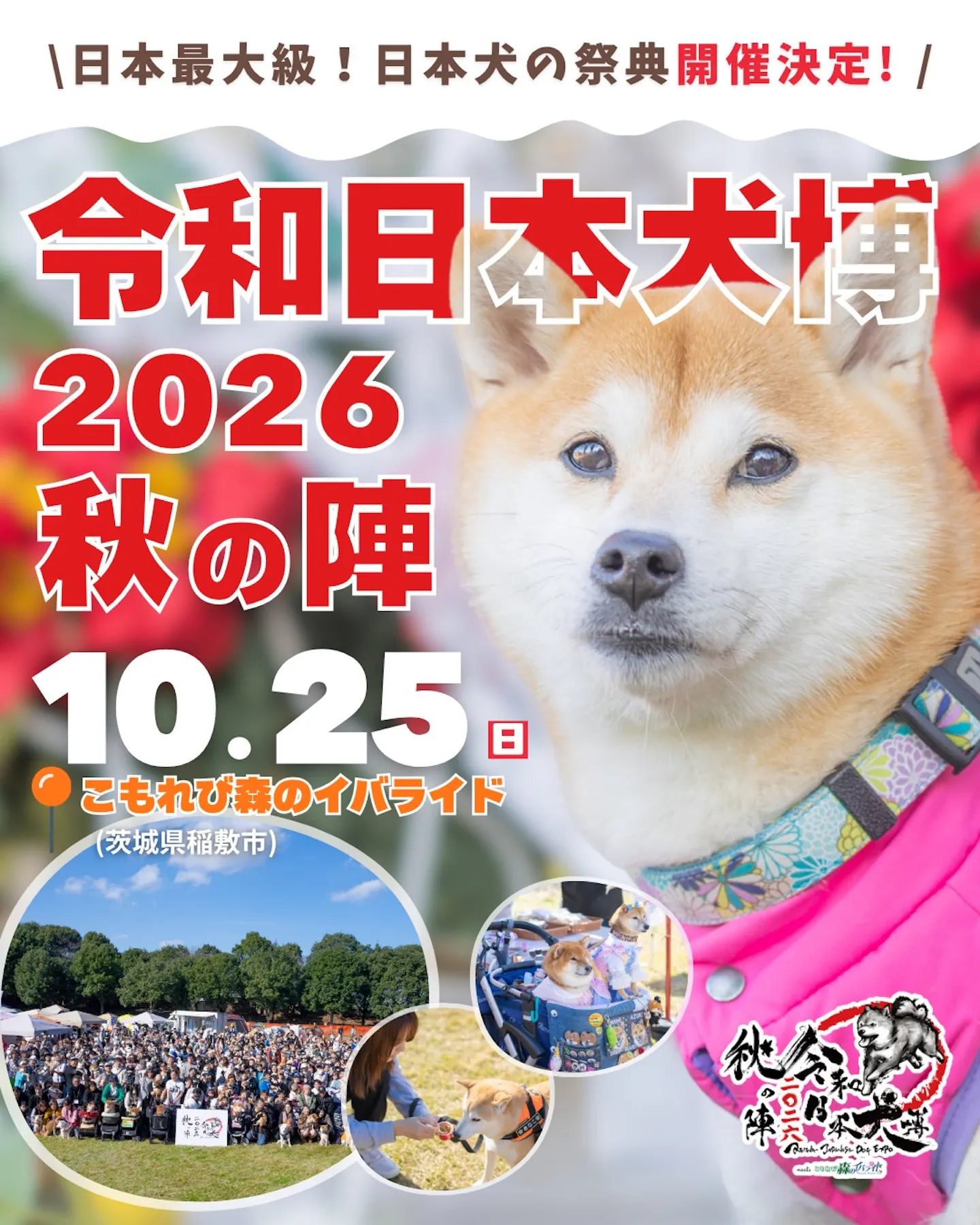 令和日本犬博 2026 秋の陣 meets こもれび森のイバライド
